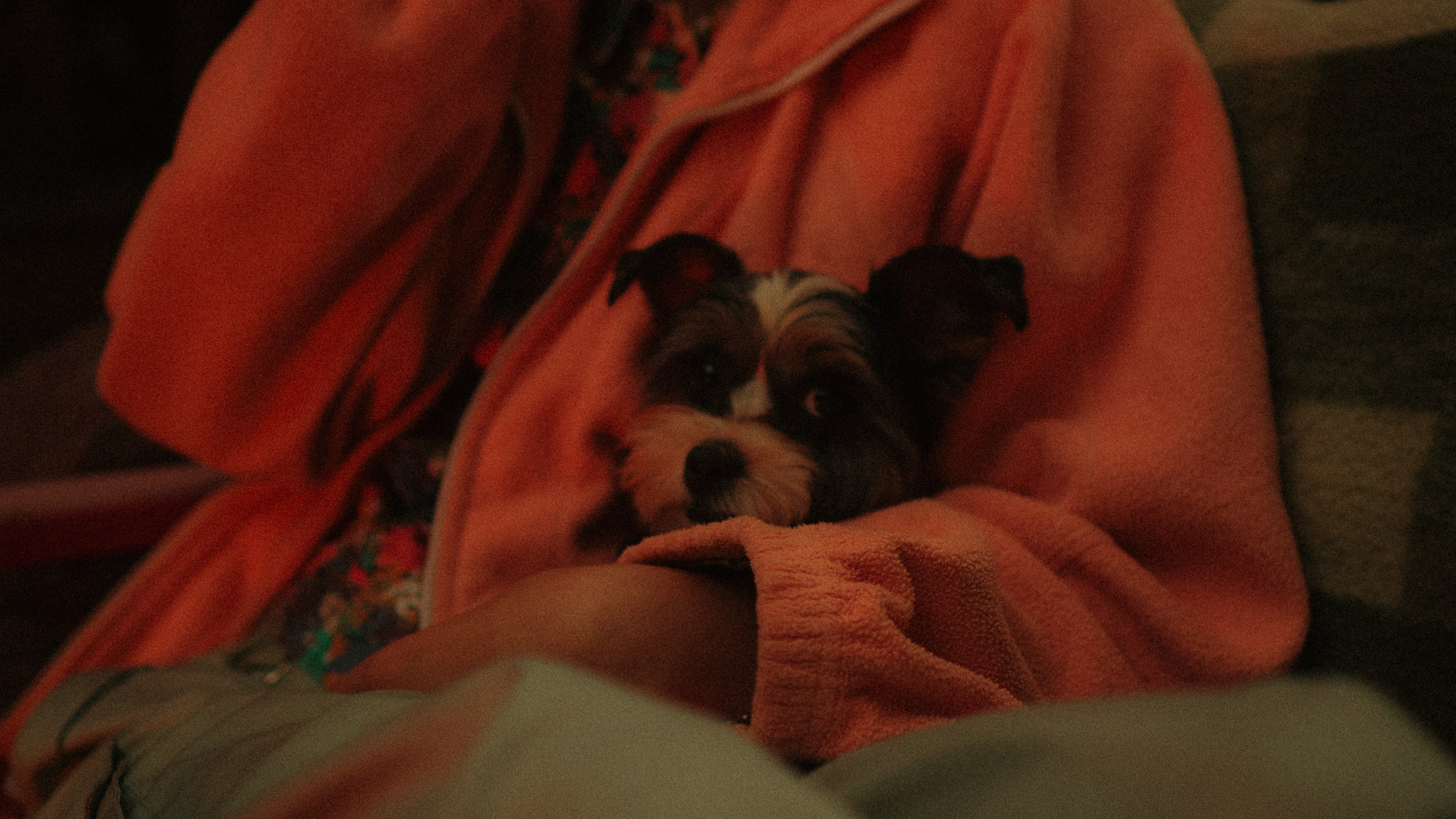 Дача '24. Фёдор Малюгин. Ваш бади в визуале