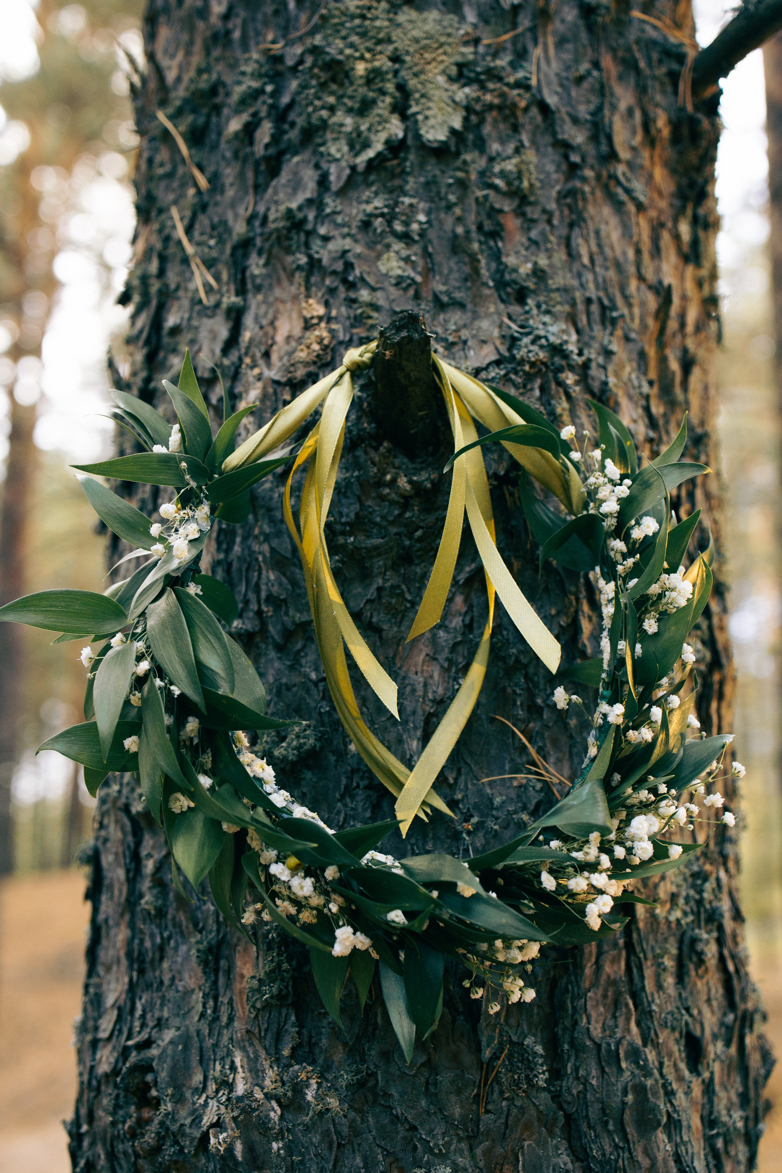 Ксения и Илья. Екатерина Пашкова, фотограф, видеограф в Томске