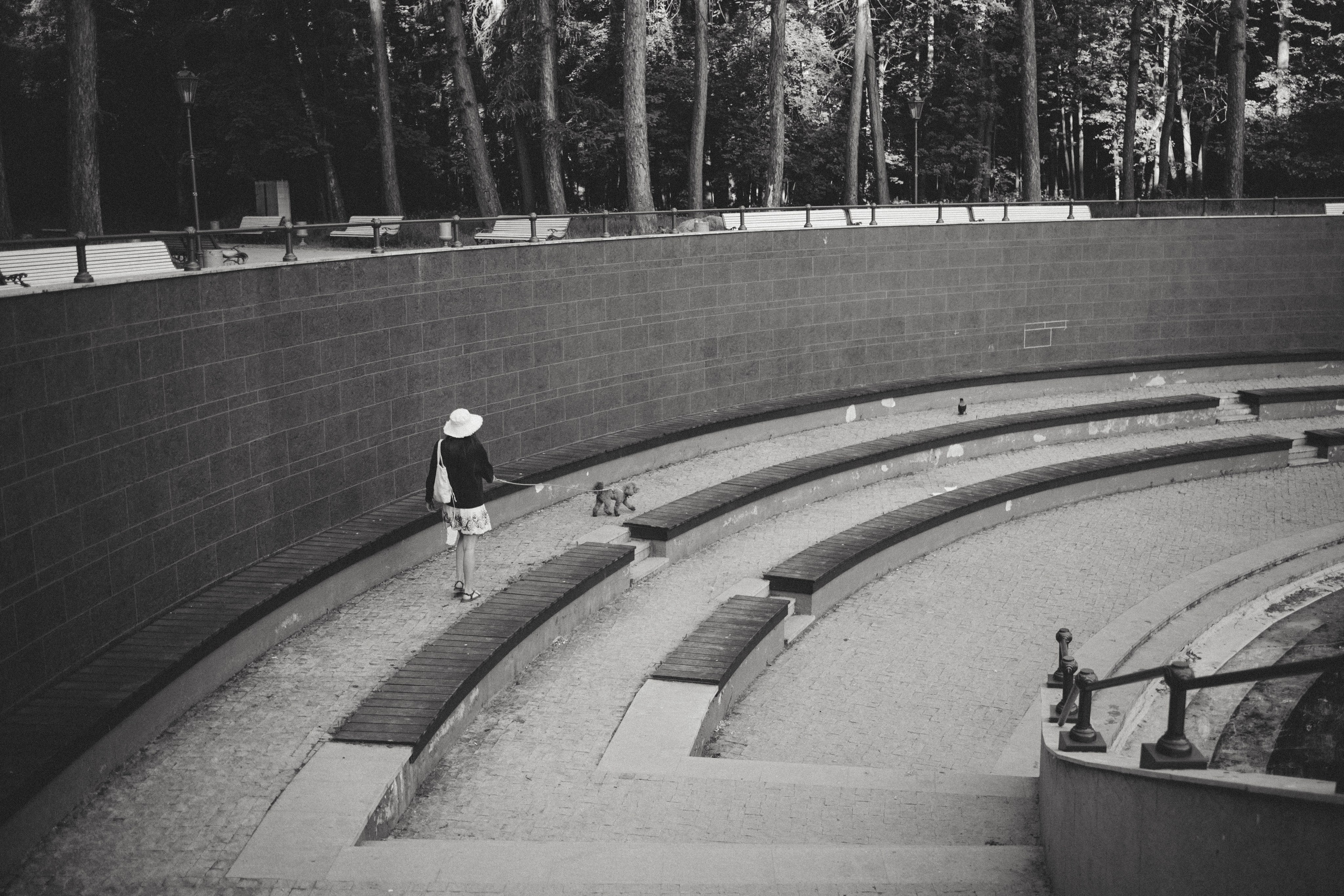 Рассвет, утки и спасение мяча. Фотограф — Анималист | Санкт-Петербург
