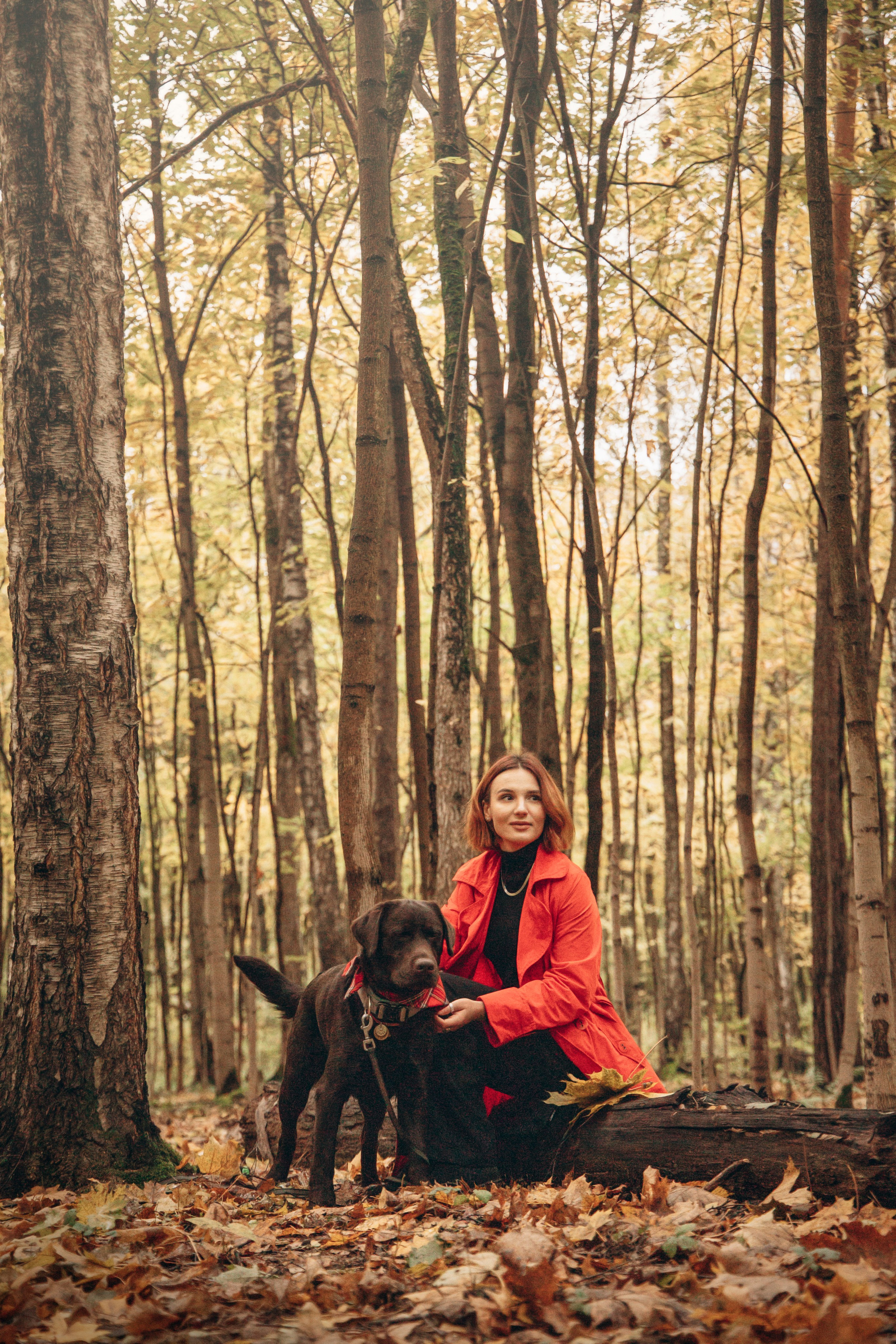 Арина и Сэмми. Фотограф — Анималист | Санкт-Петербург