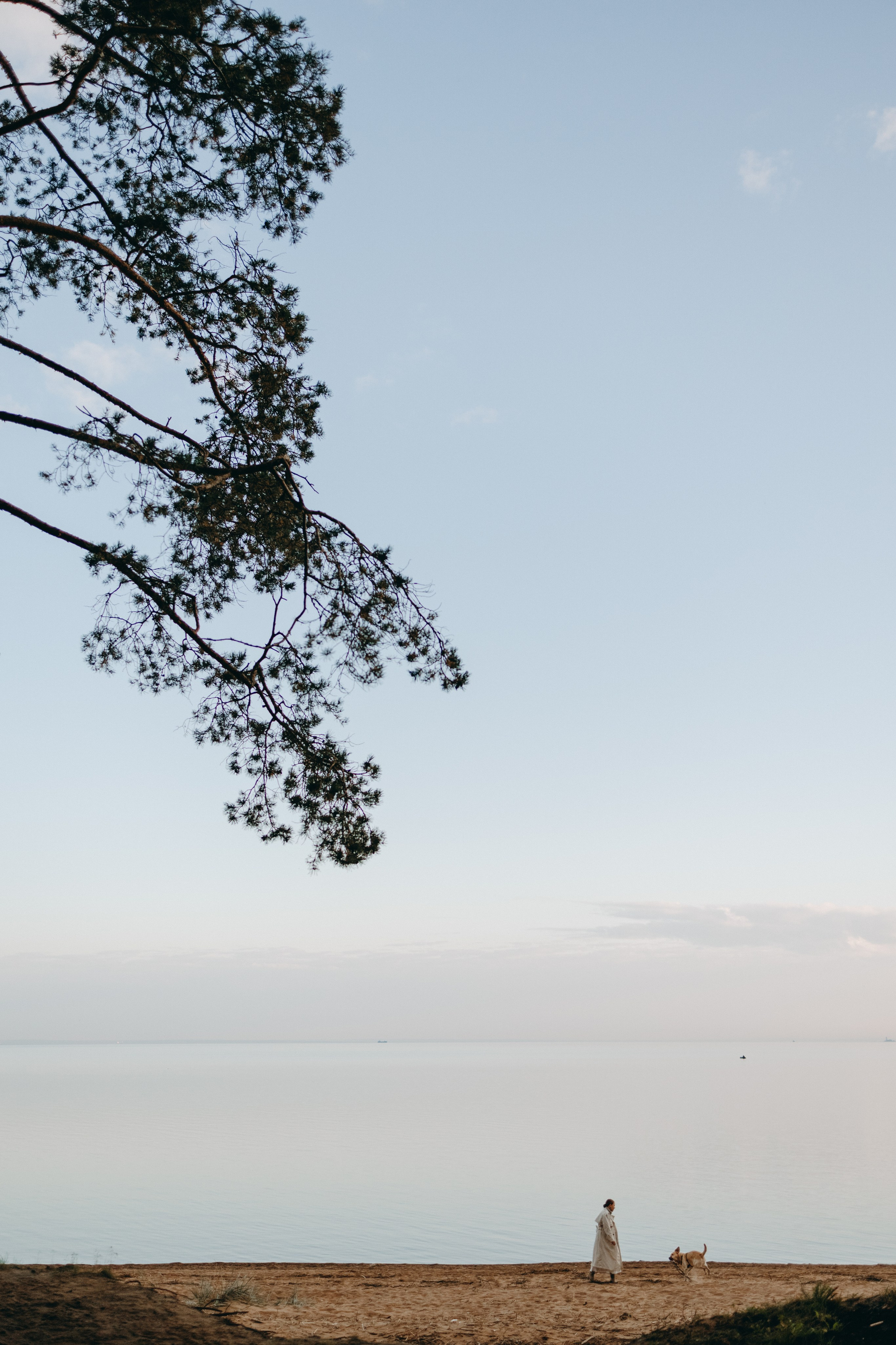 Наташа и Шани. Фотограф — Анималист | Санкт-Петербург