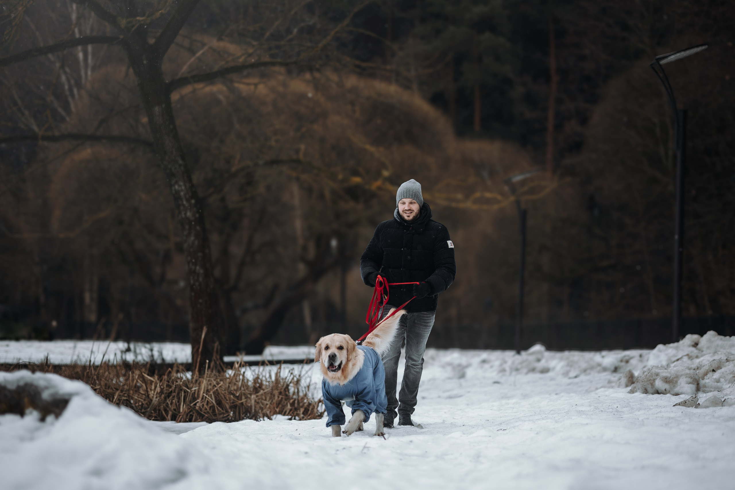 Шелби, Ватсон и ребята. Фотограф — Анималист | Санкт-Петербург