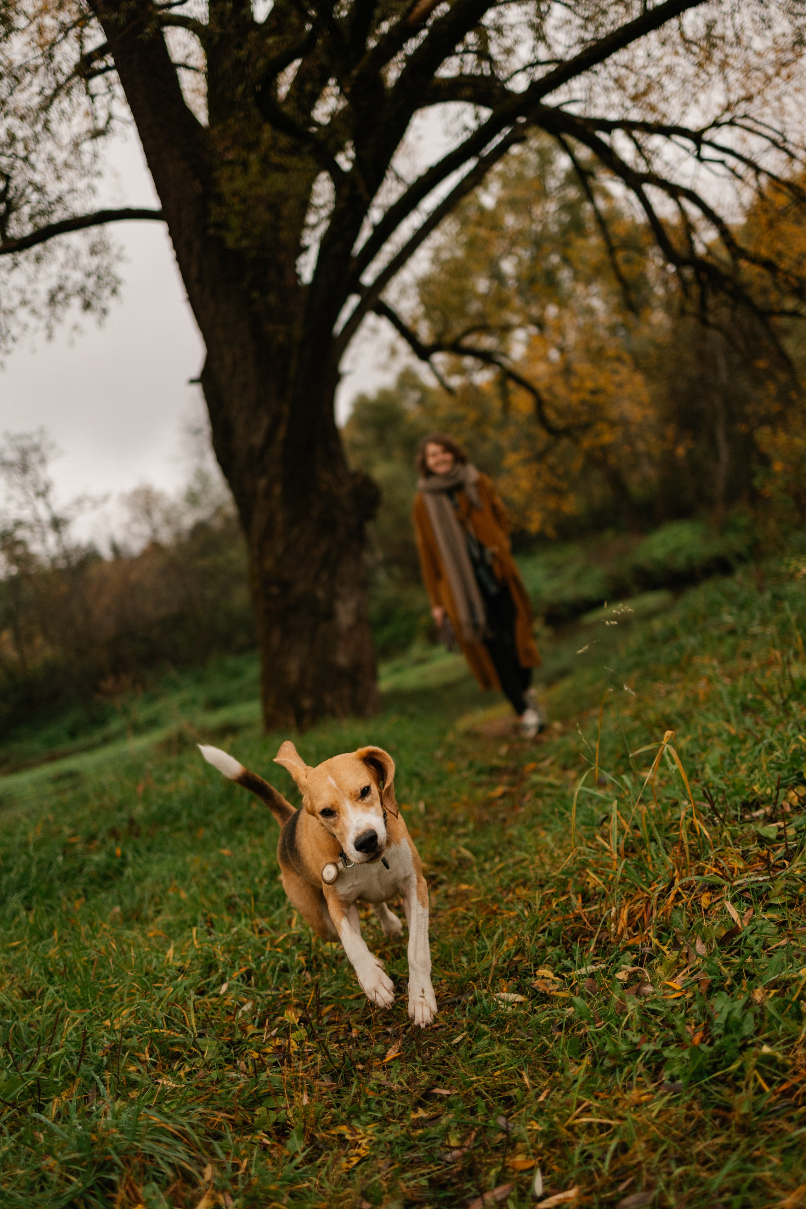 Лена и Тайгер. Фотограф — Анималист | Санкт-Петербург