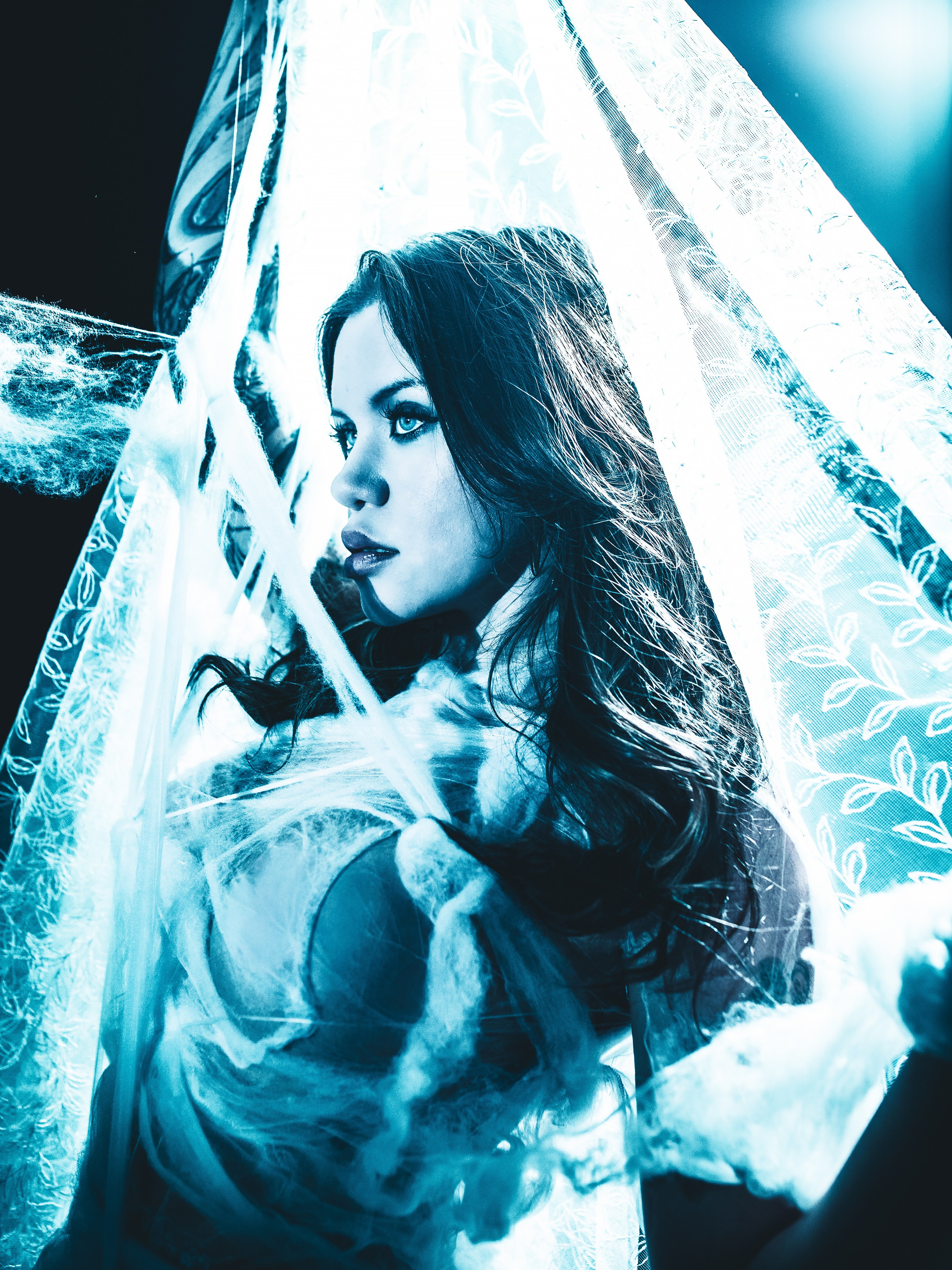 Diibae spider. Фотограф из Санкт-Петербурга Валерия Ленских