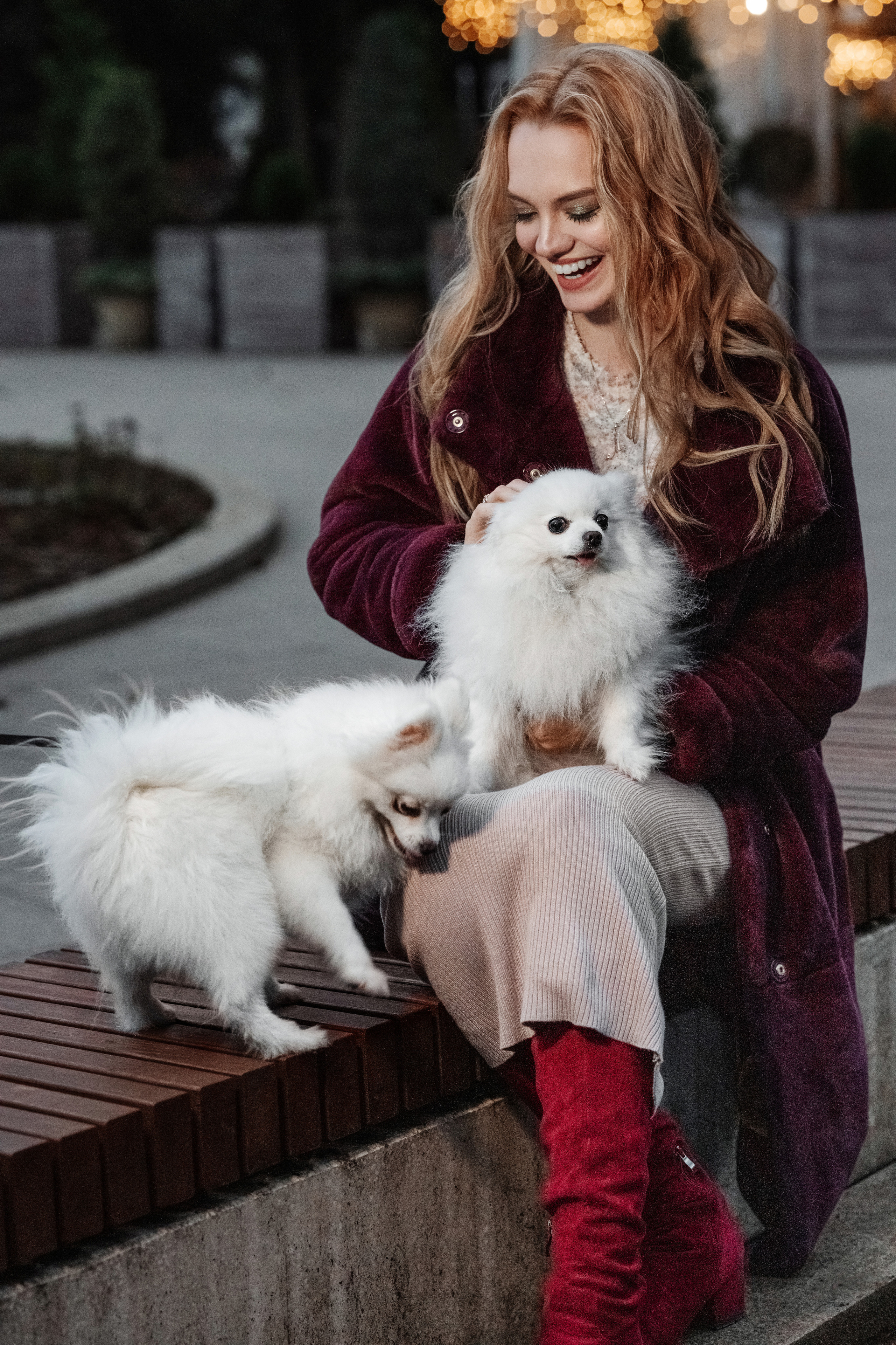 Прогулочная с огоньками. Фотограф в Крыму Кот Мария