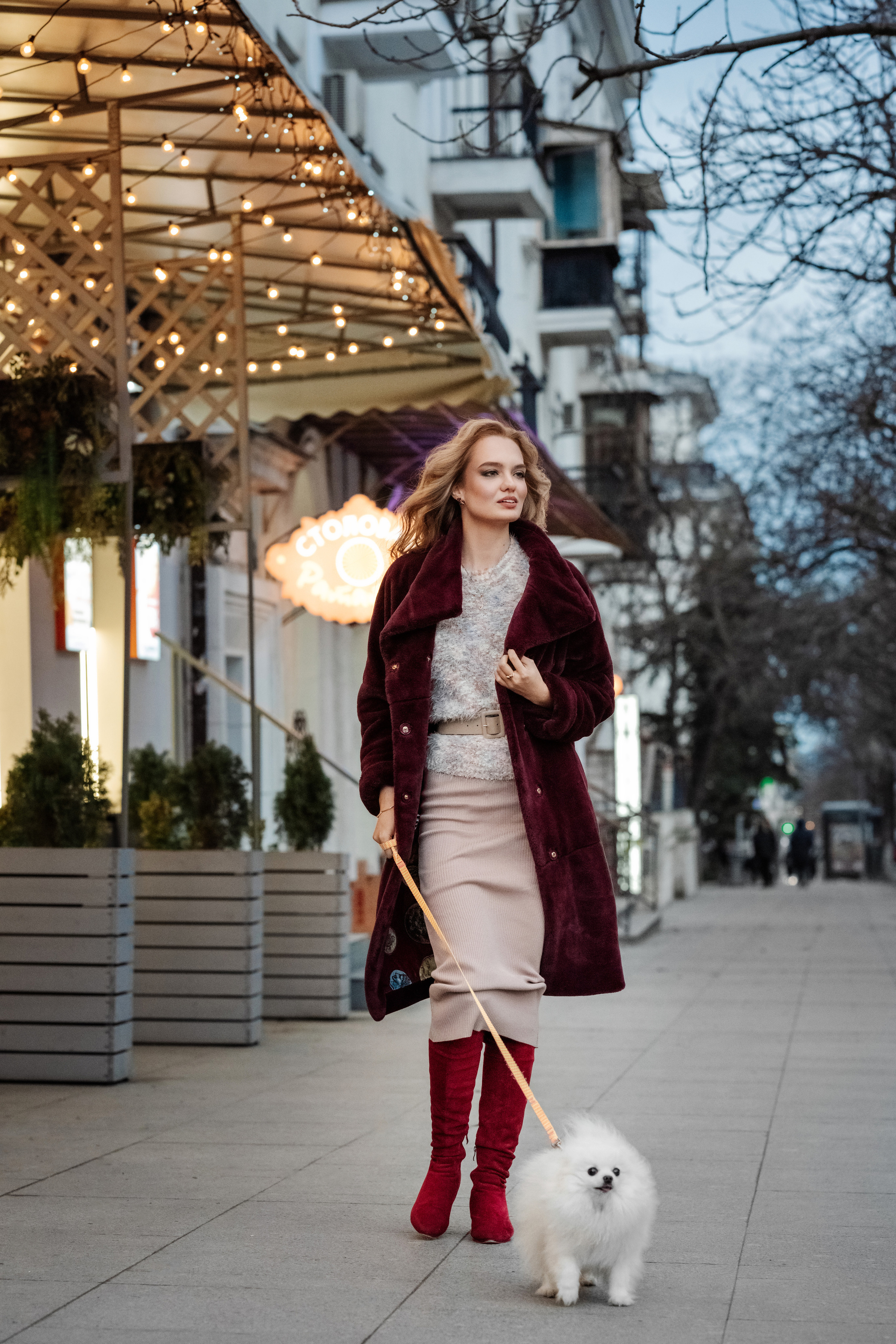 Прогулочная с огоньками. Фотограф в Крыму Кот Мария