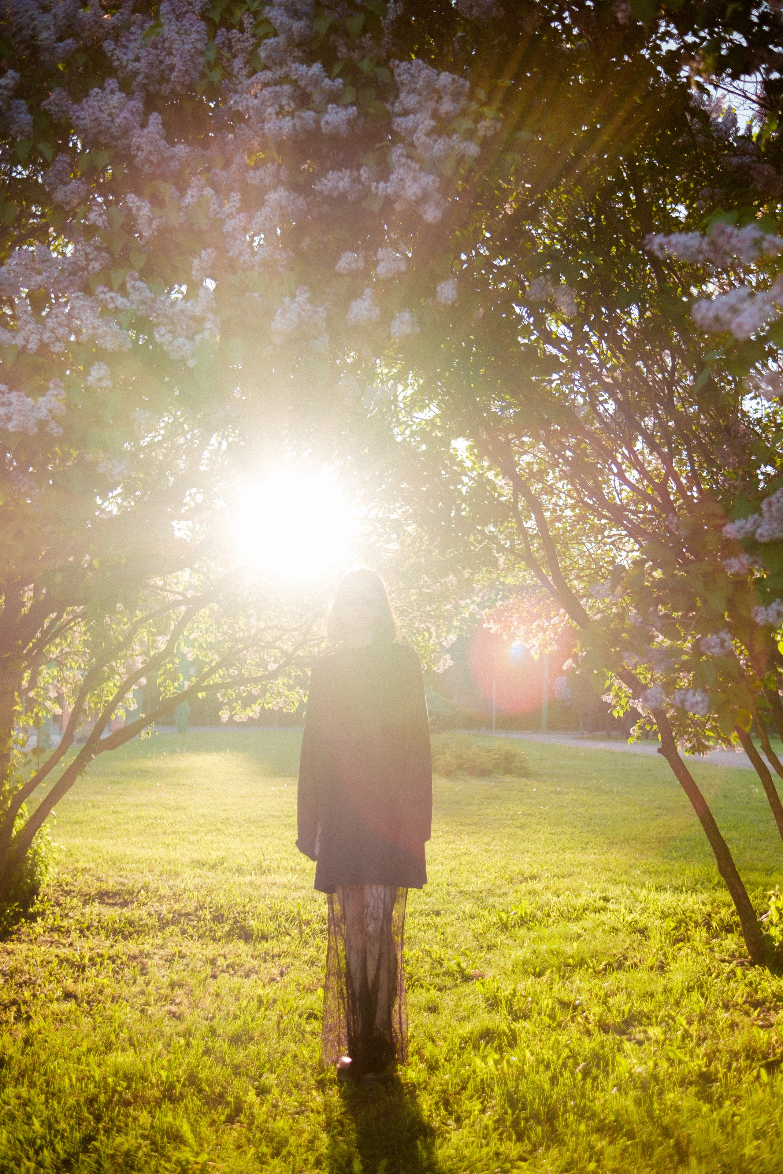 Утром на марсовом поле. Михаил Долганов
