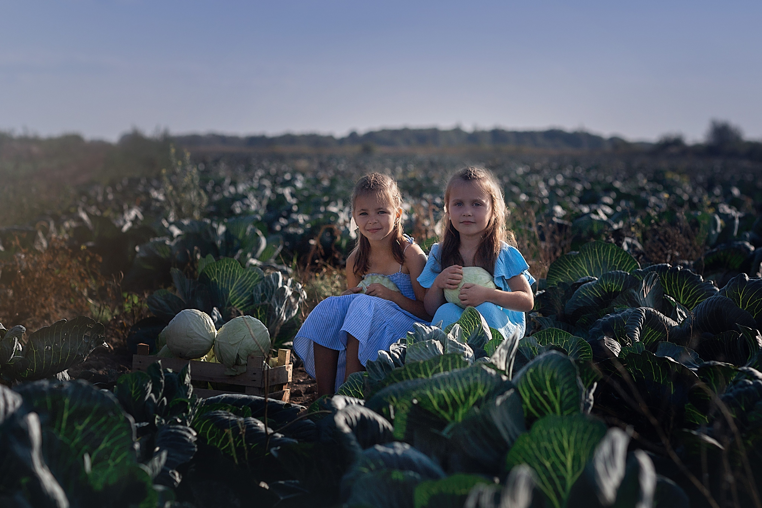 Капустное поле_Ленинградская область. Семейный фотограф в Санкт-Петербурге