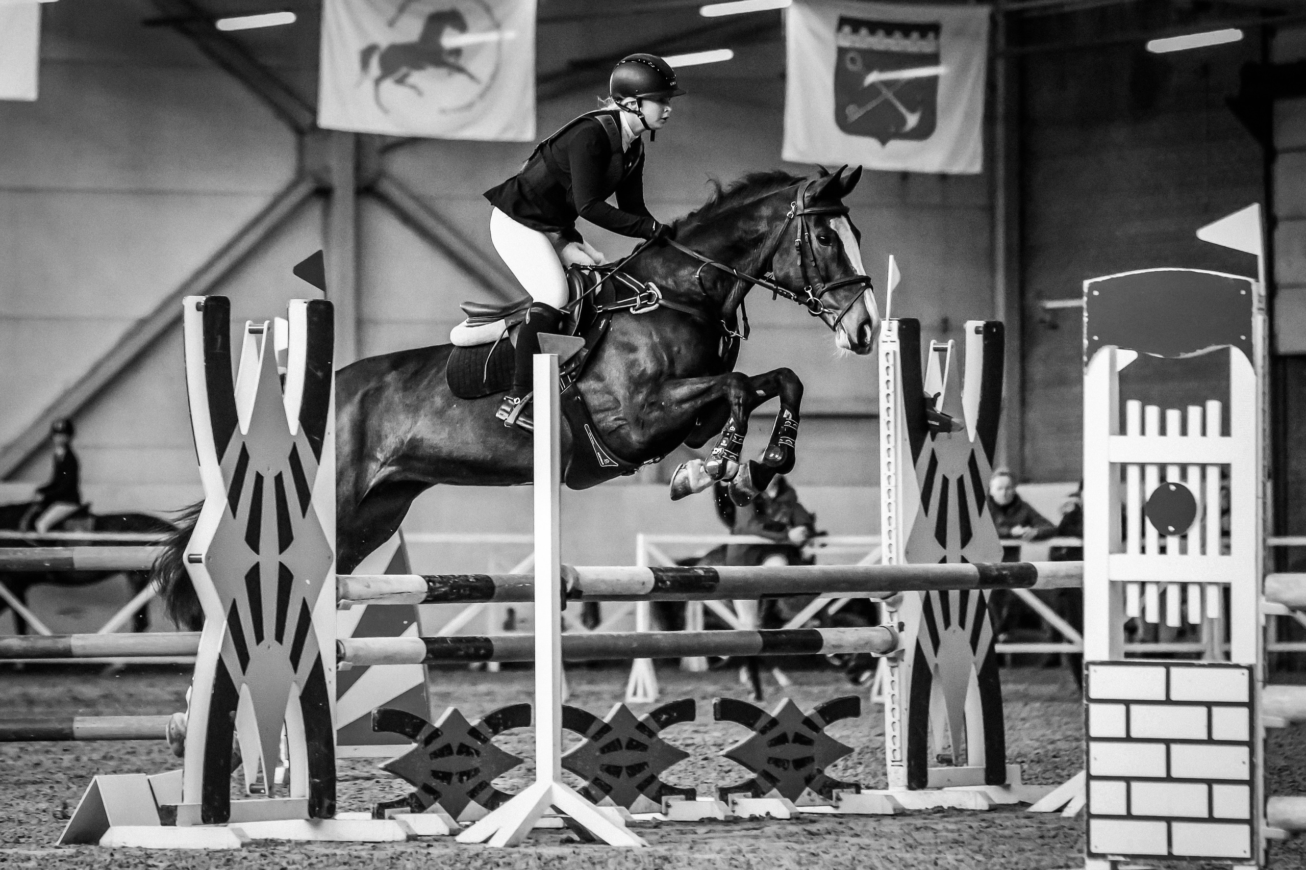 Лошади Евы Демидовой. Ева Демидова. Спортсмен по конкуру в Санкт-Петербуре