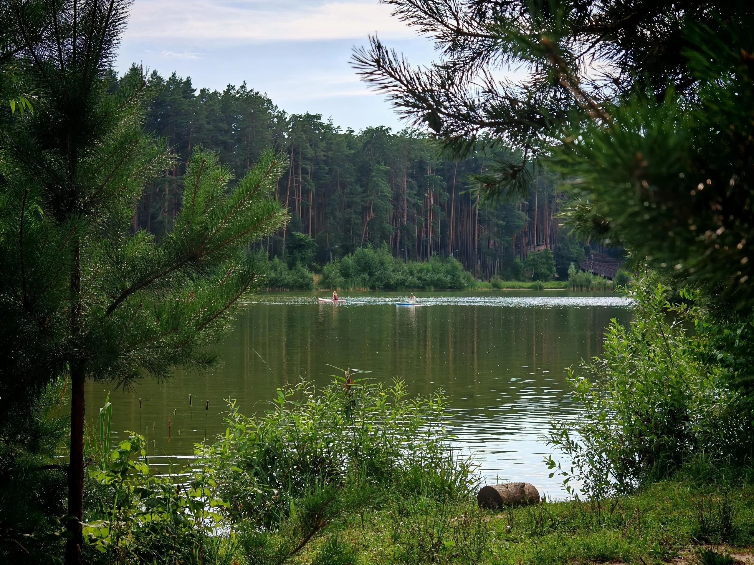На лоне природы. Нам по пути. Кадры из путешествий фотографа Валентины Прокофьевой