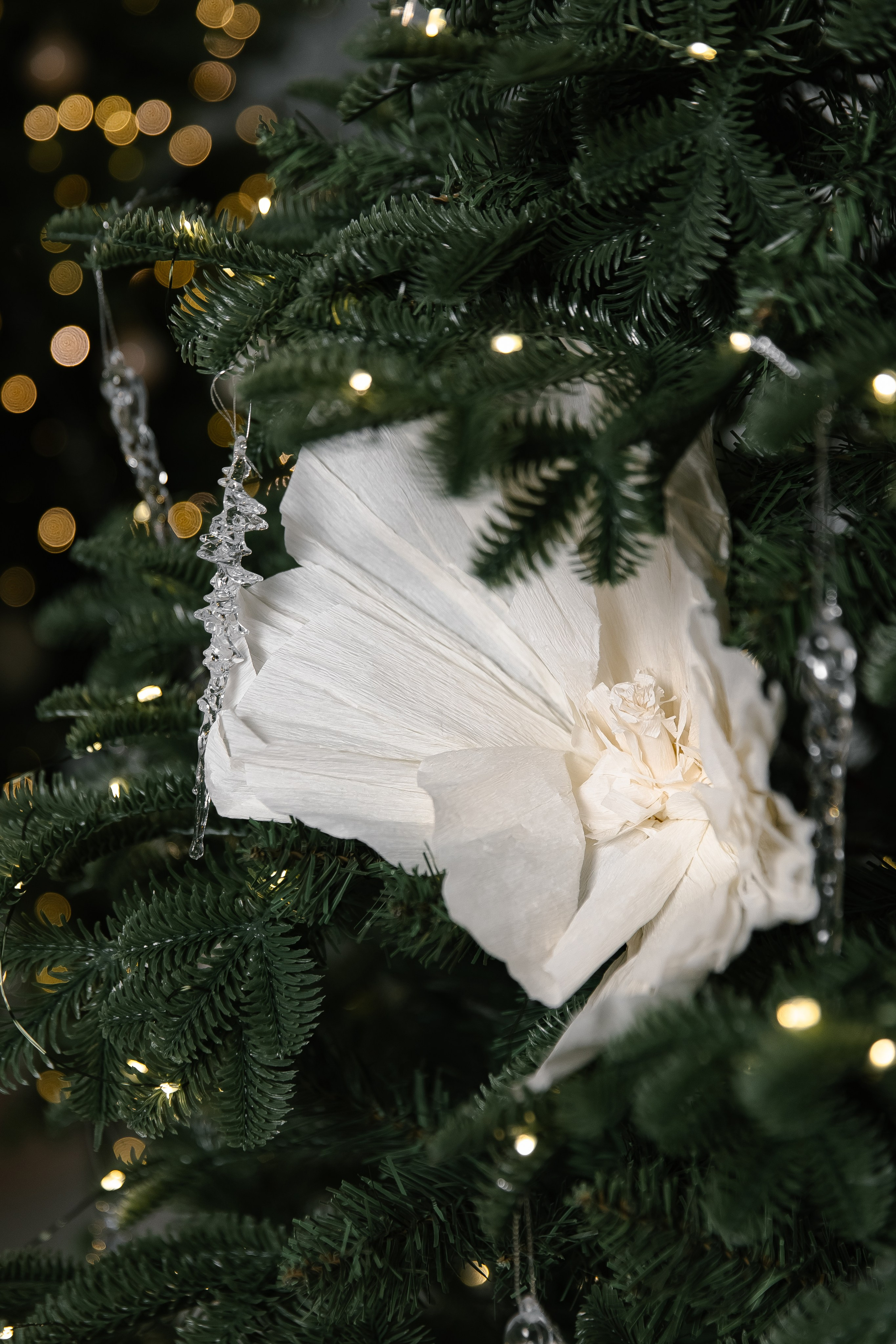 Алина. Свадебный и семейный фотограф в Таганроге и Ростове Руднева Анастасия