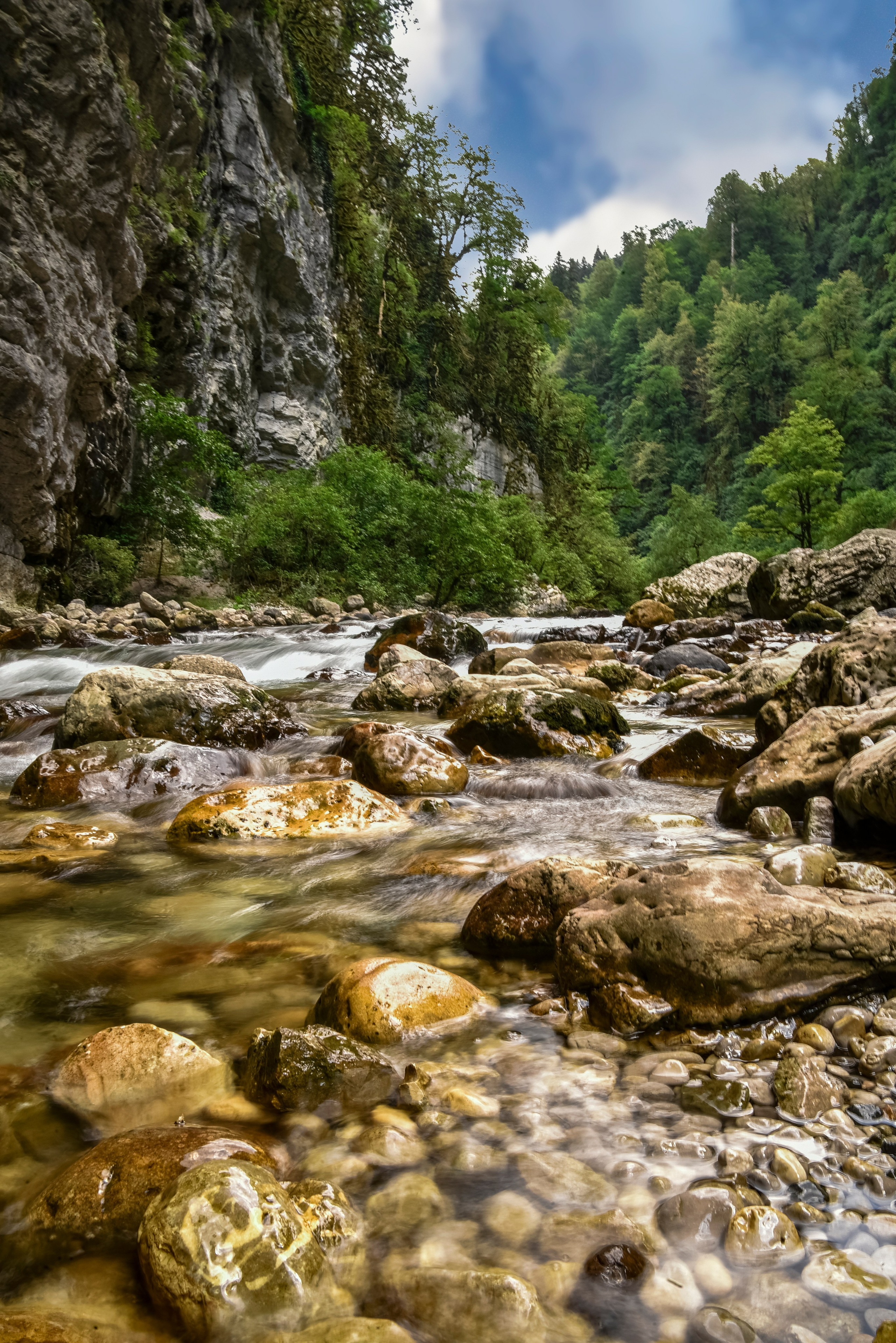 Goblincore, природа, фэнтези, нечисть, лес, гоблинкор, эльфы, фотосессии, костюмированные