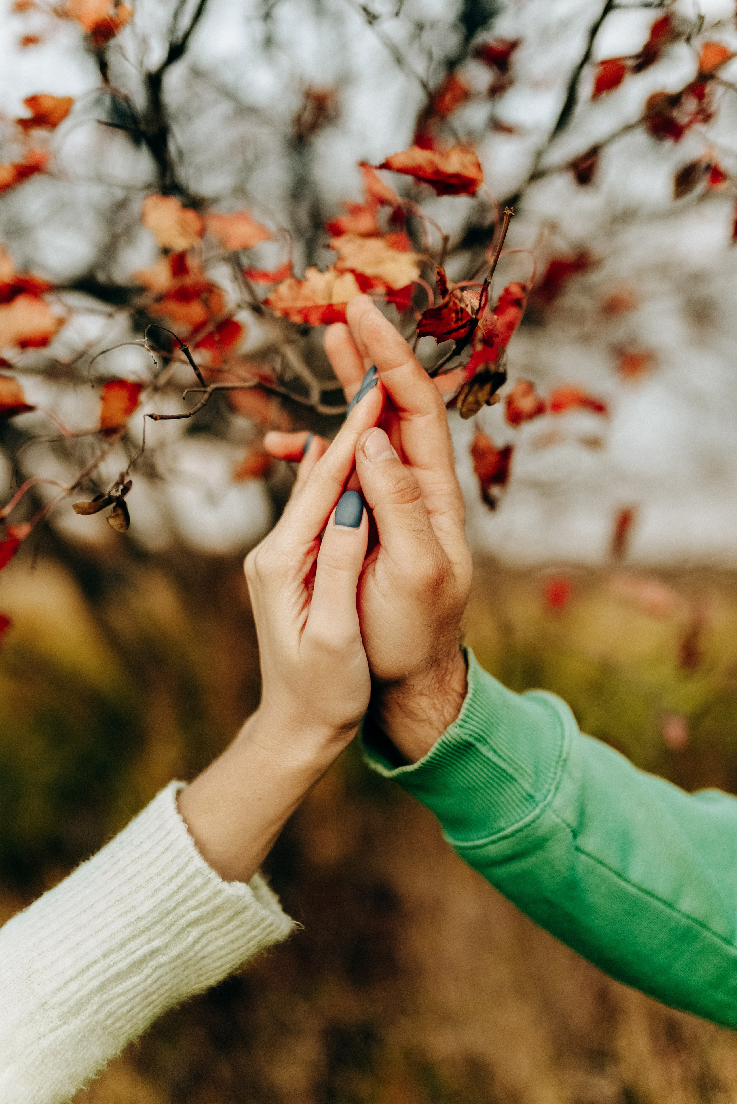 МАША + ДЕНИС. Шашкова Вероника / Свадебный и семейный фотограф Москва и Ярославль