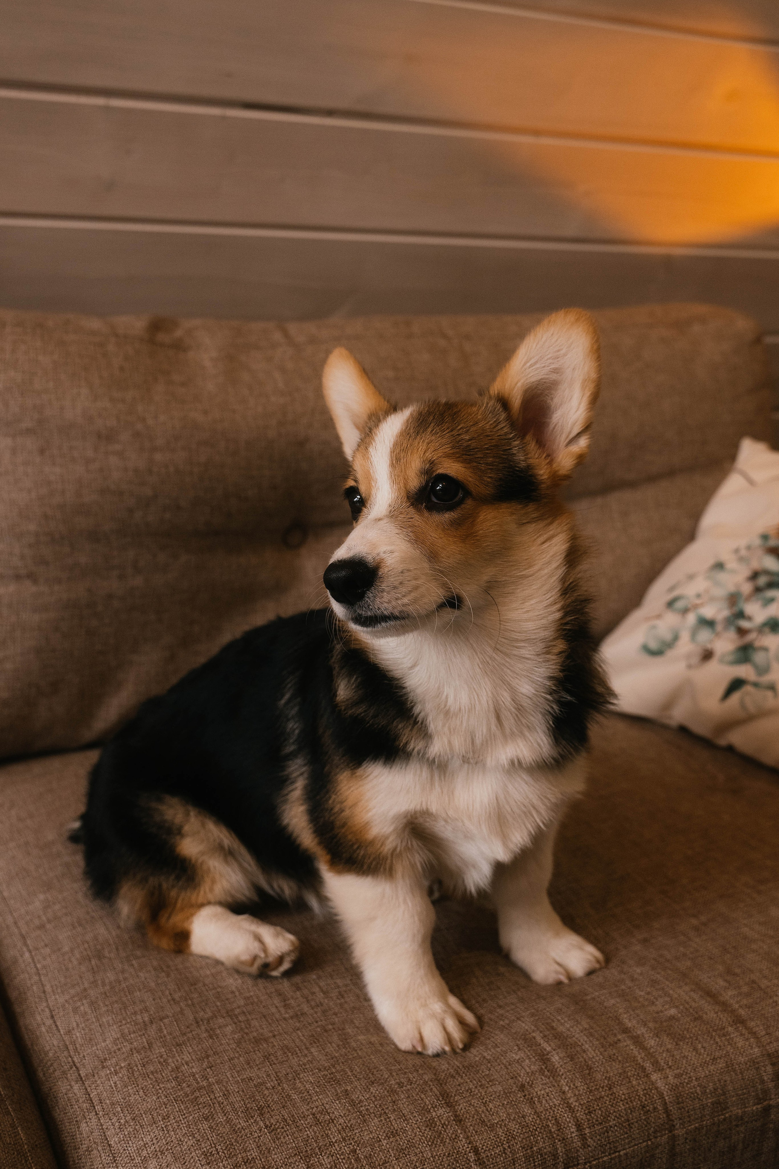 Вика, Коля, Лера, Ева и Вестар. Свадебный, семейный фотограф в Рязани Лена Брант