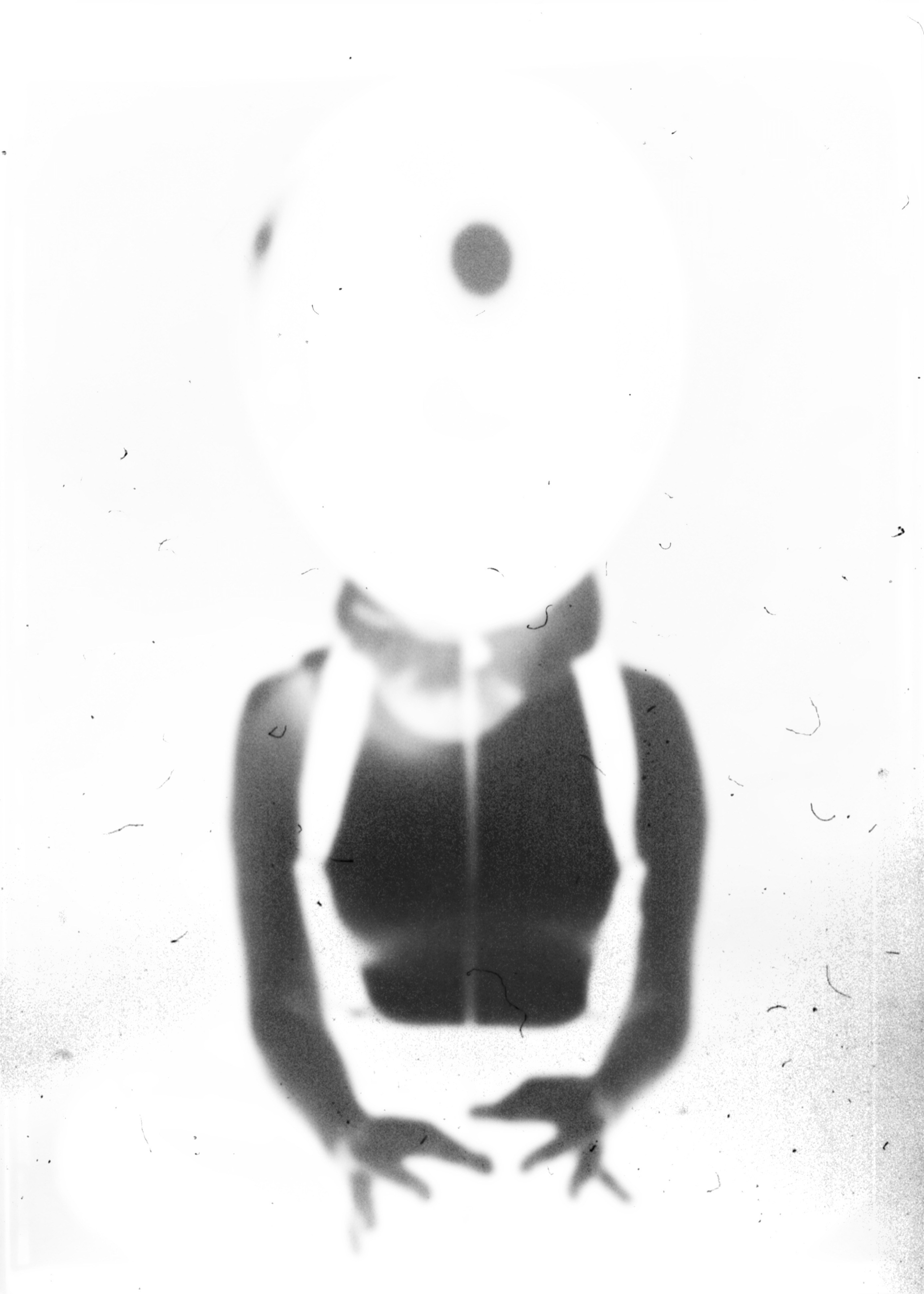 Портфолио. Фотограф в Нефтеюганске