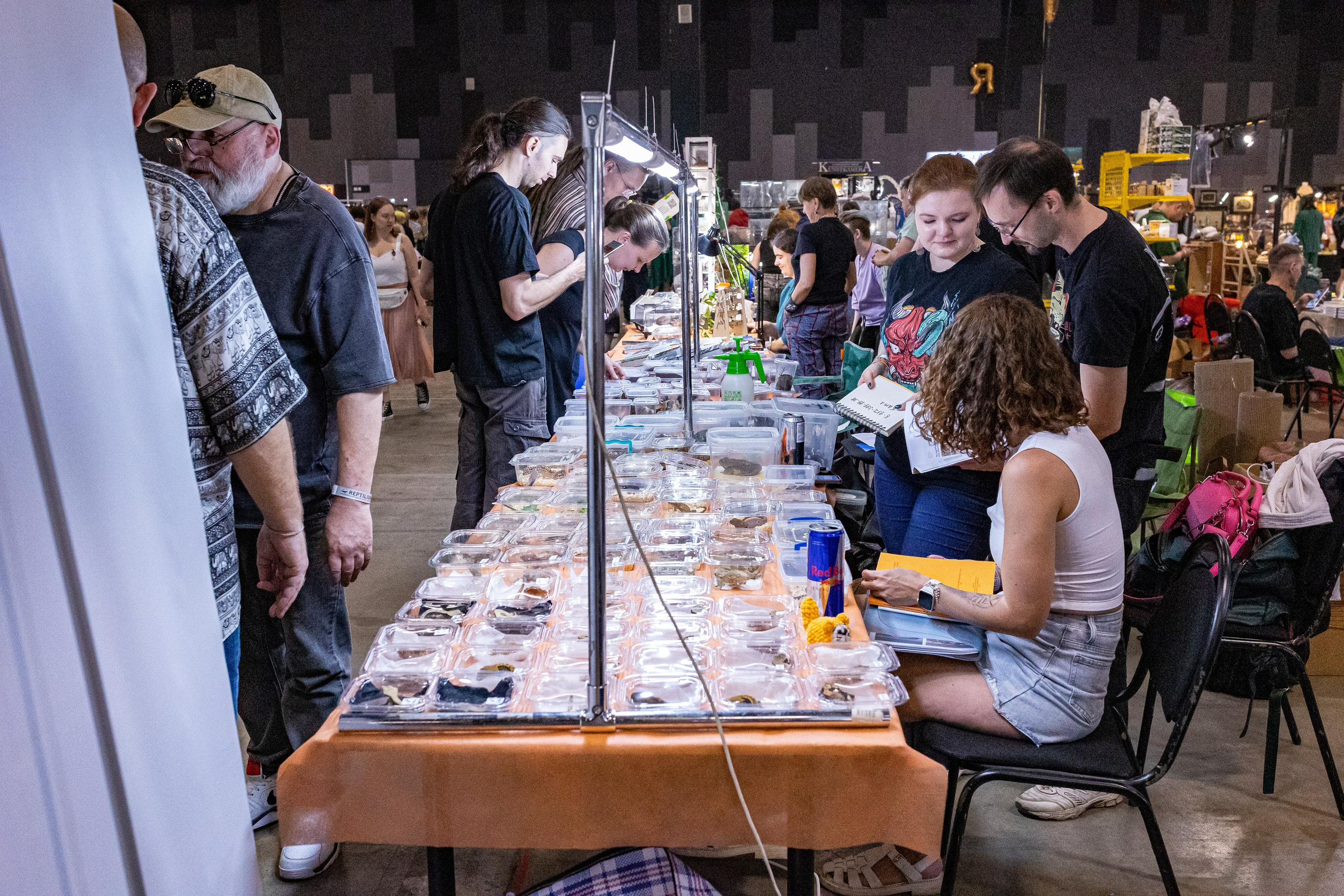 Рептилиум 2024. Александра Куликова фотограф, Москва