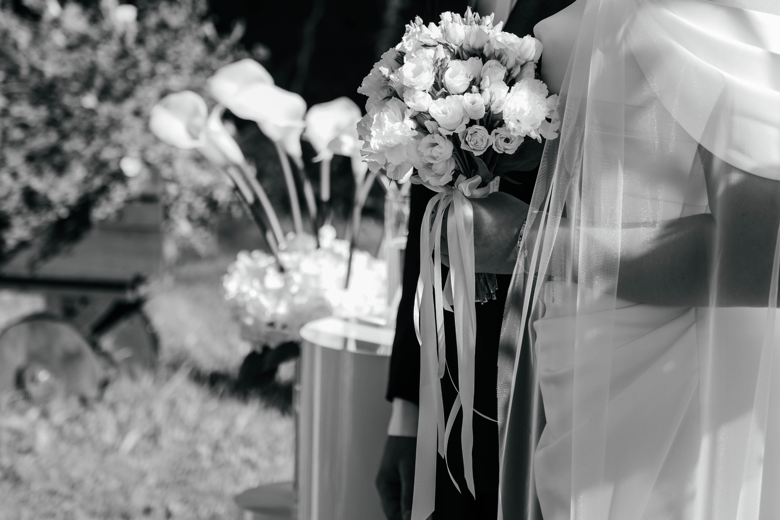 Никита&Яна (выездная регистрация). Главная