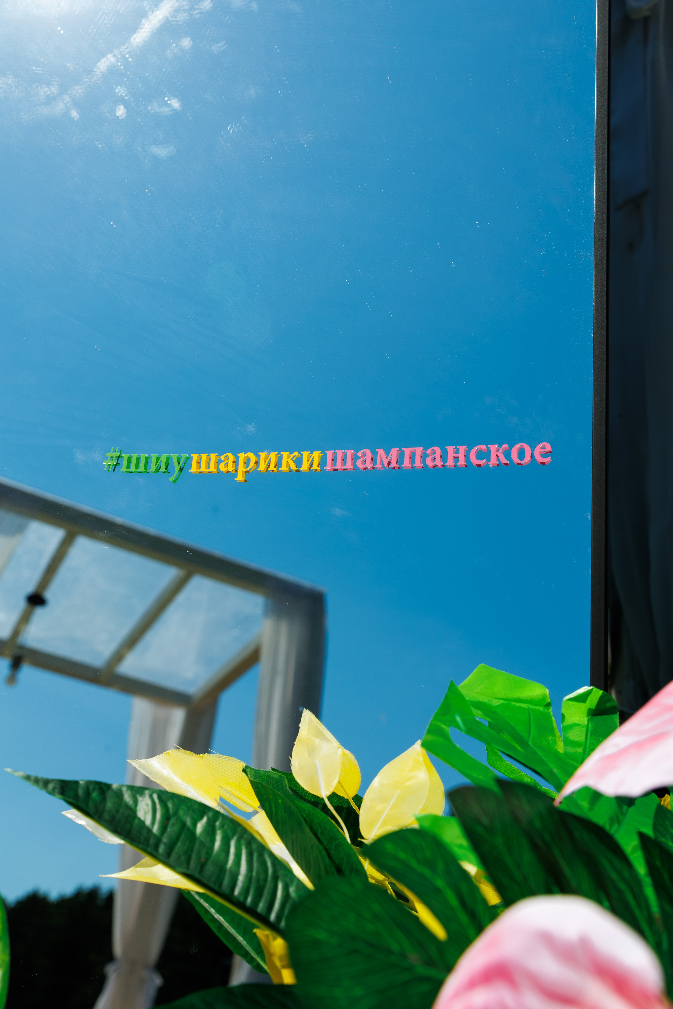 Летняя вечеринка декораторов ШИУ. Фотограф Новосибирск — Наталья Гресь