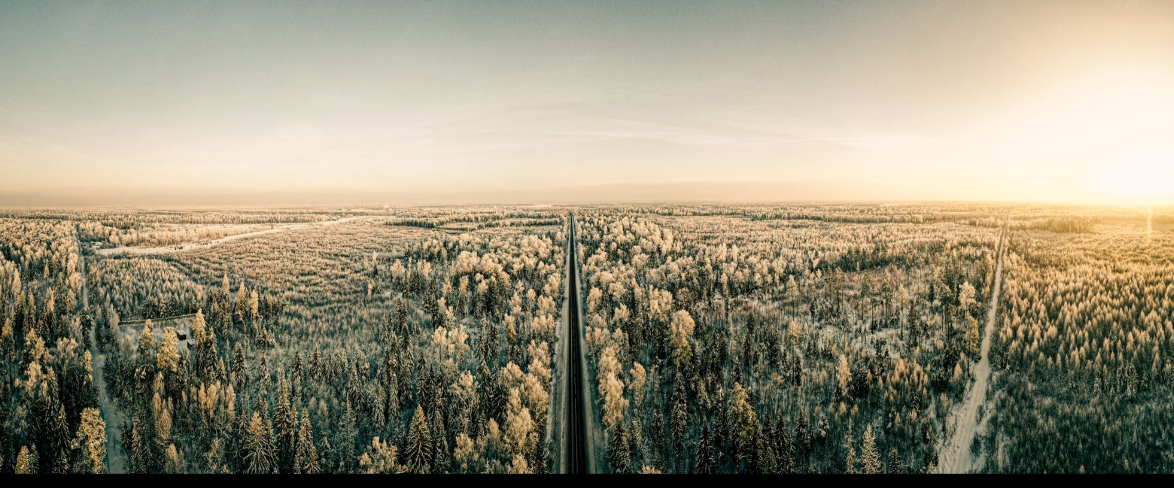Фотограф Москва и Область