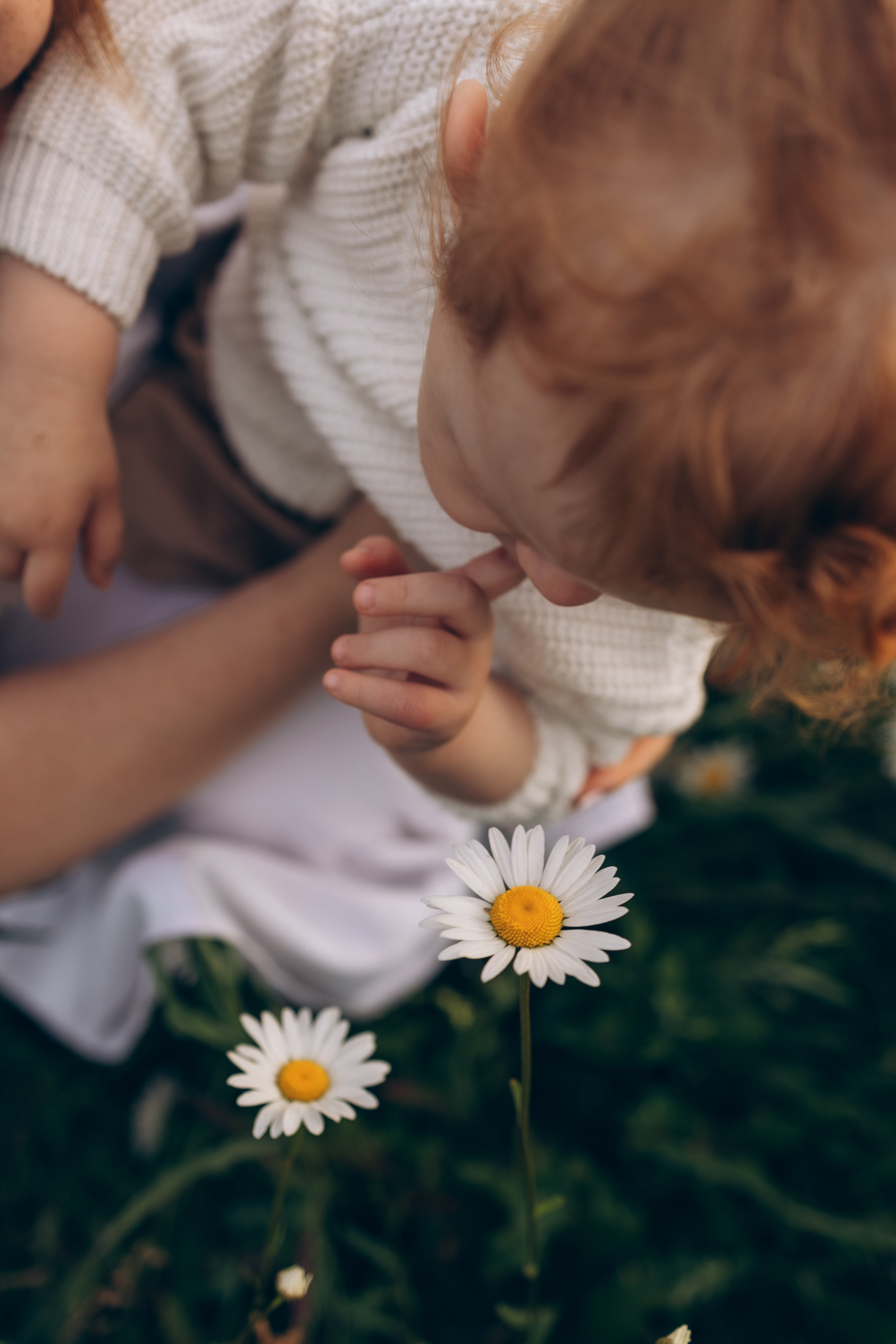 Мира и ромашки