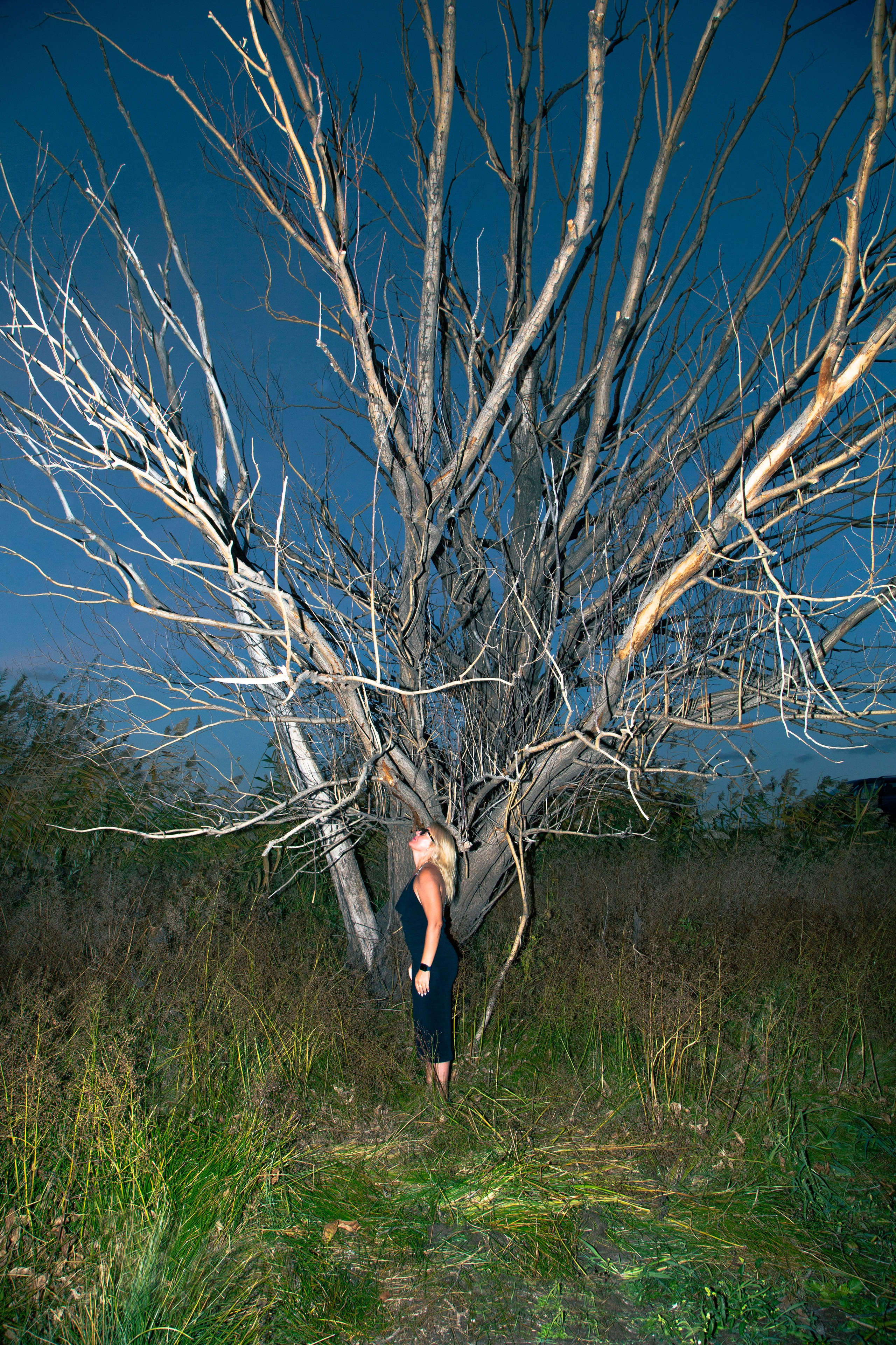 Nina. Arina Kharakhashian