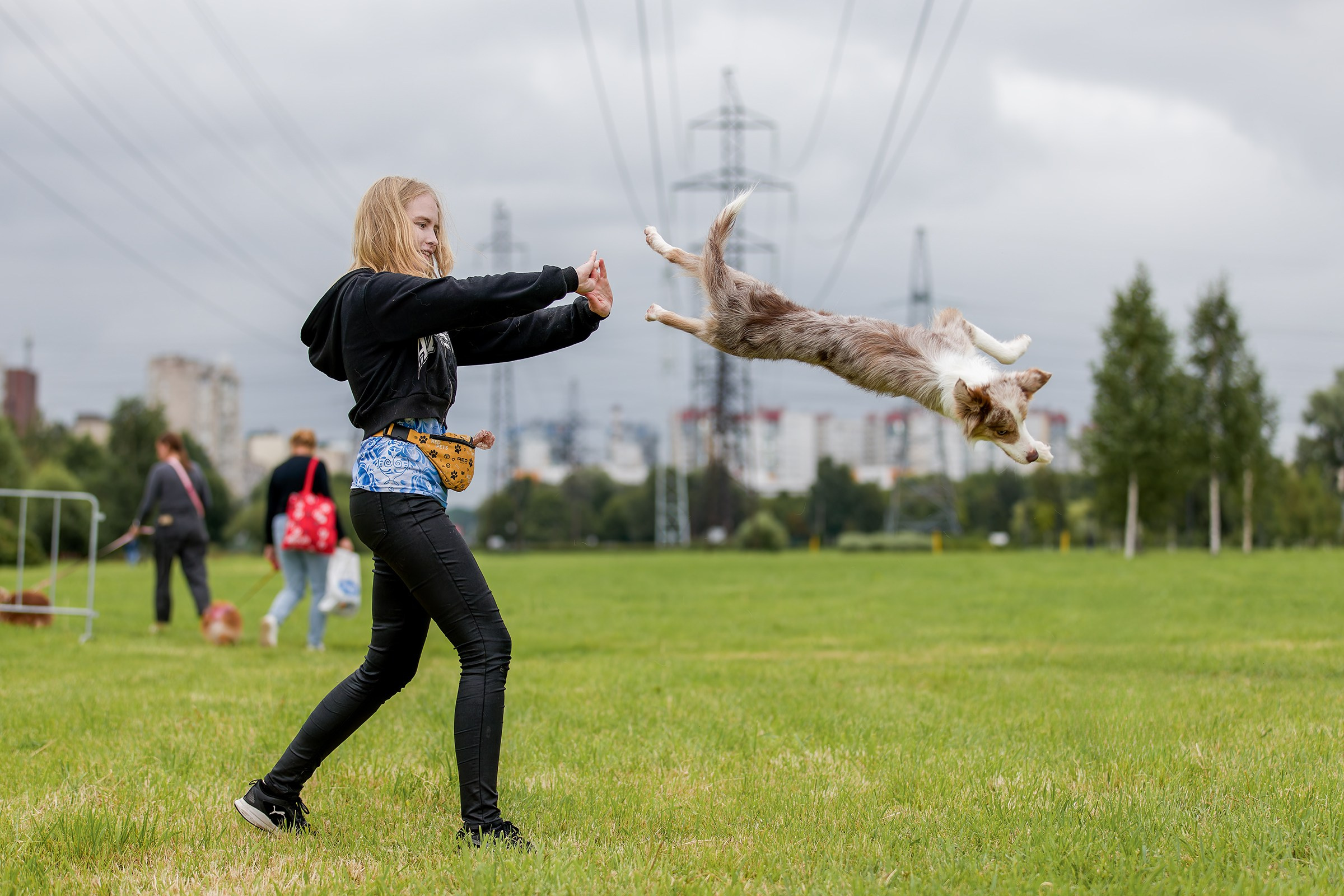 Живая Сила. Семейный фестиваль. Irenephoto.ru