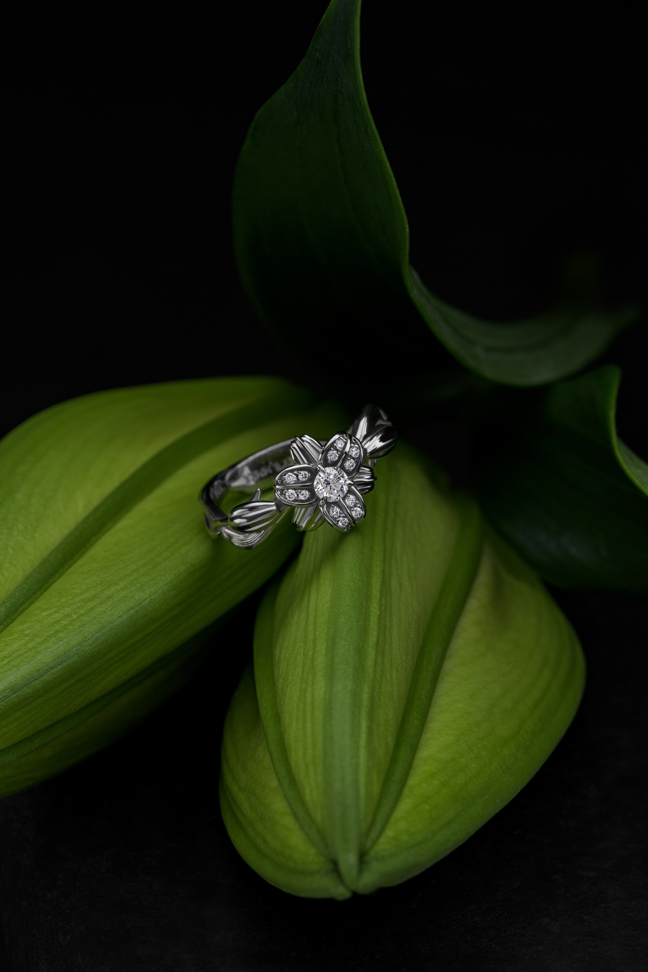 Medici jewelry. Контент фотограф в Москве Александр Хитько