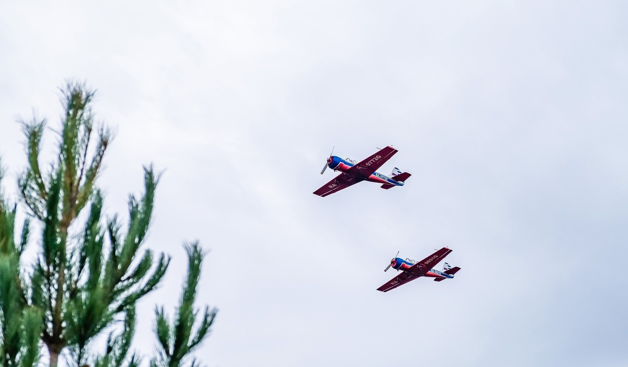 Праздник Осень в Микрорайоне удачный Красноярск