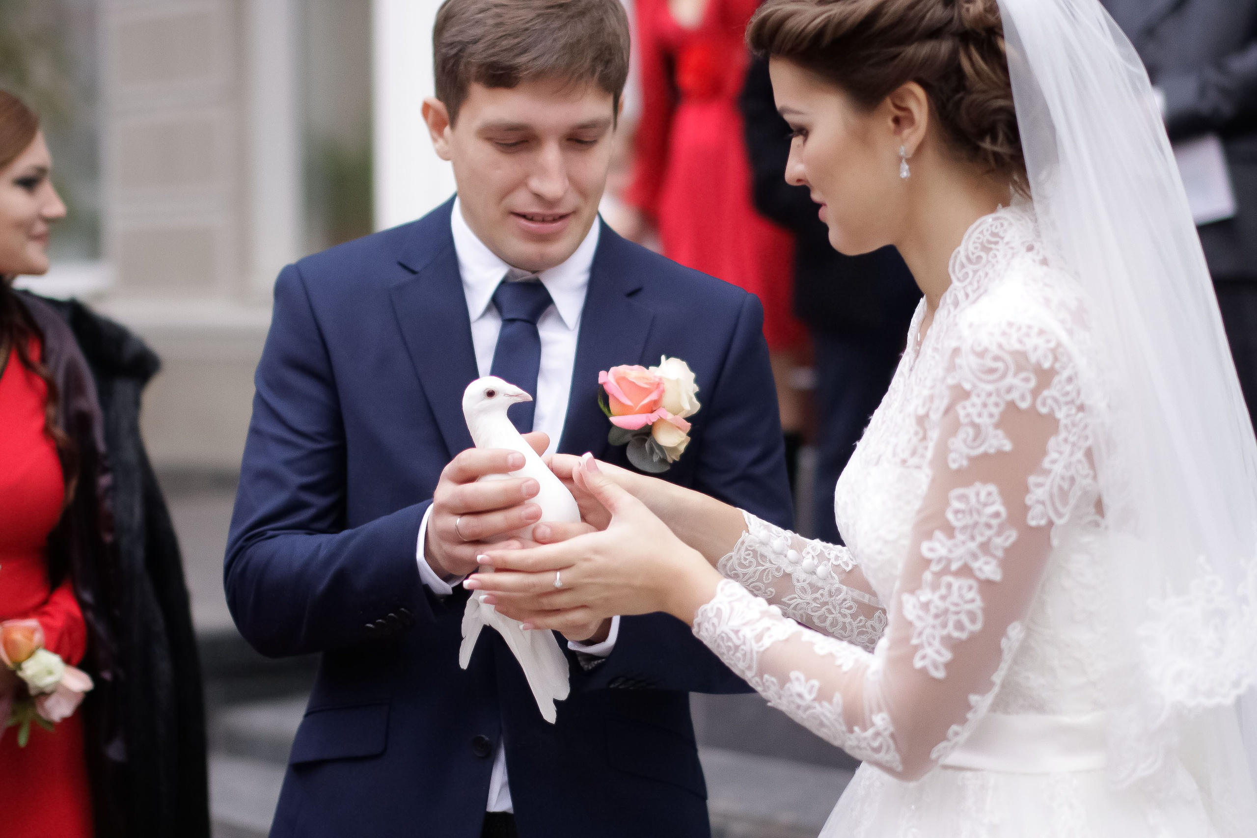 Регистрация/Register. Максим Матвийченко и Виктория Басова профессионалы своего дела