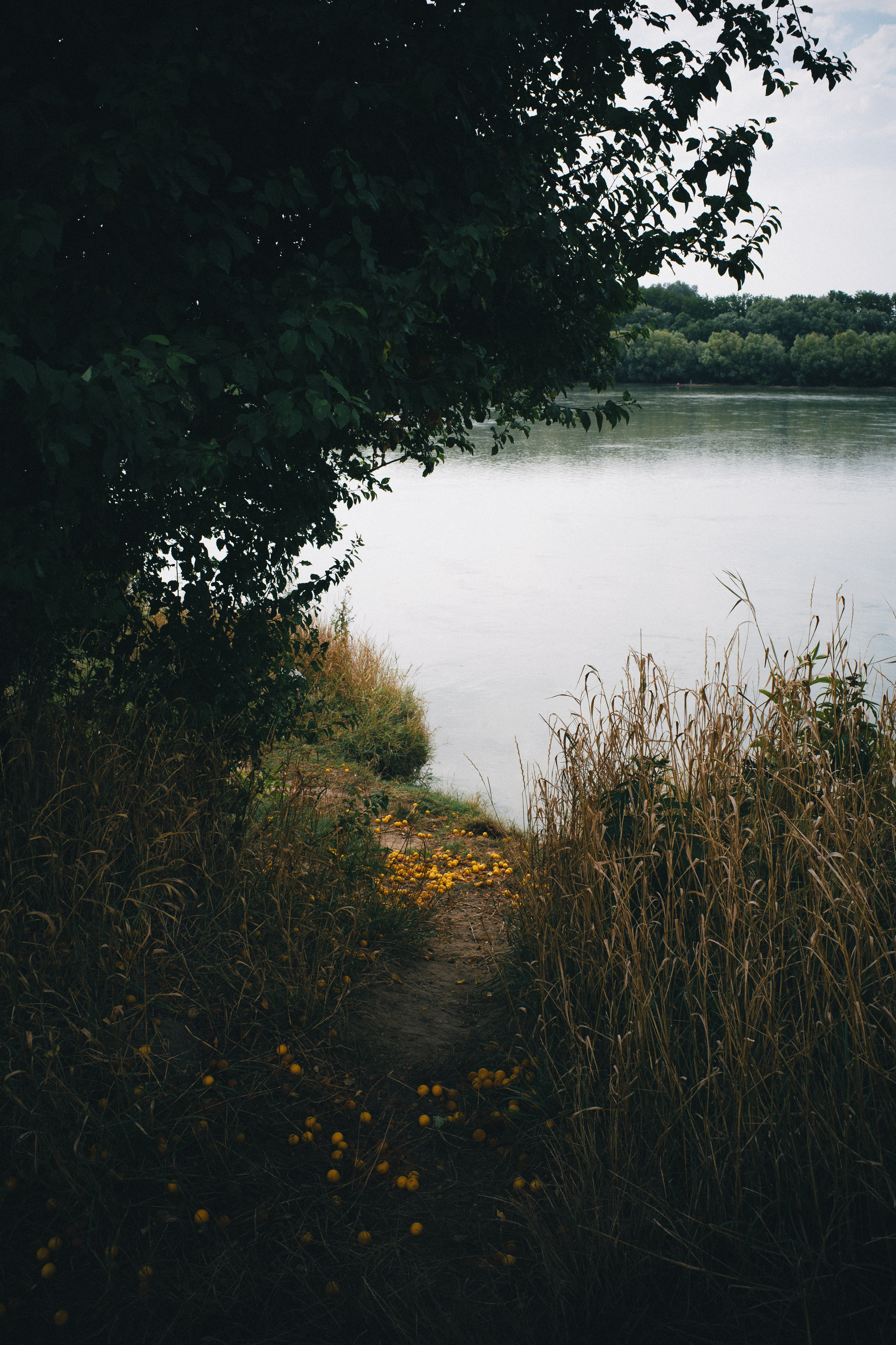 Street & Landscapes. Фотограф в Санкт-Петербурге Александр Терников