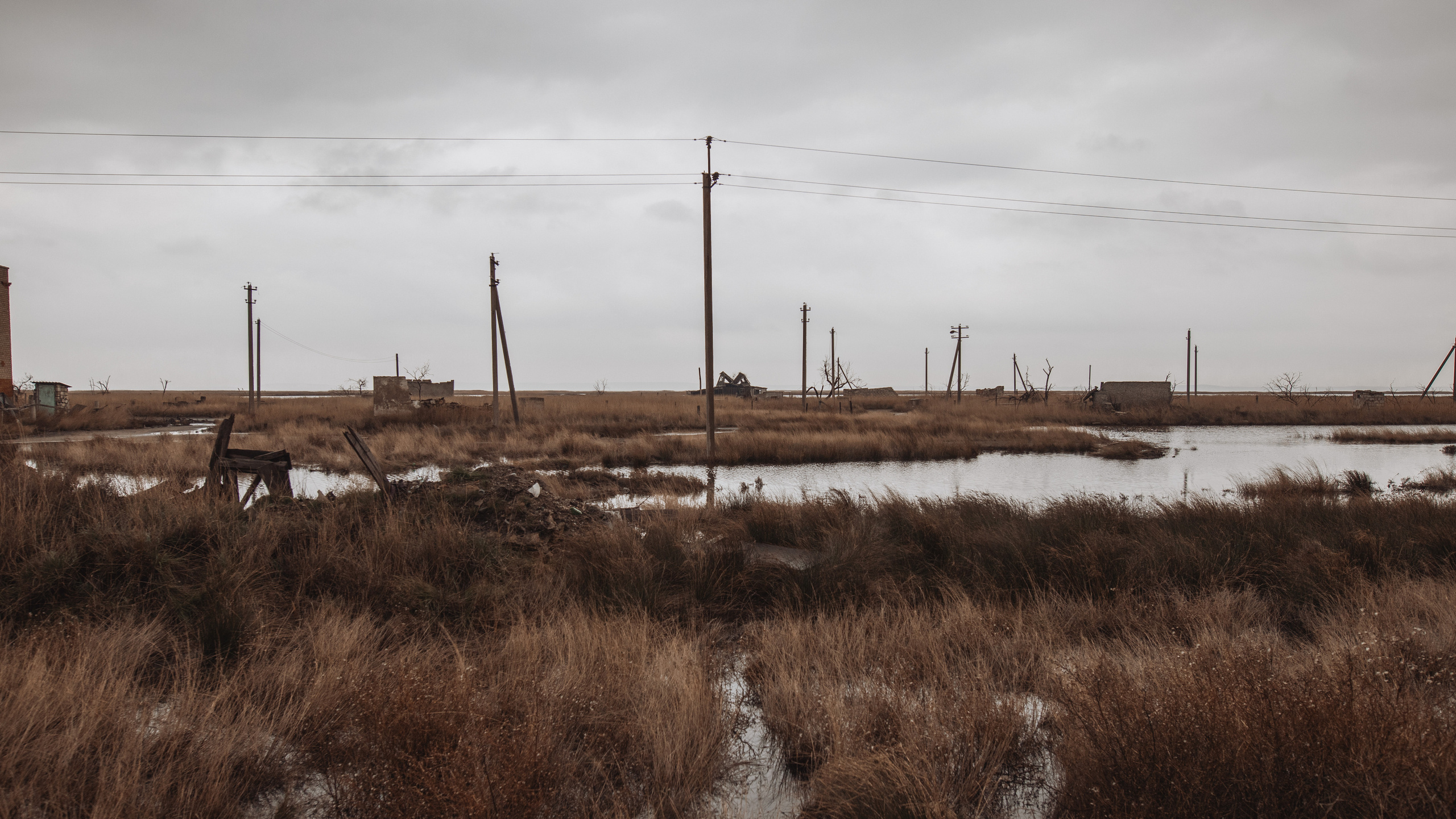 Street & Landscapes. Фотограф в Санкт-Петербурге Александр Терников