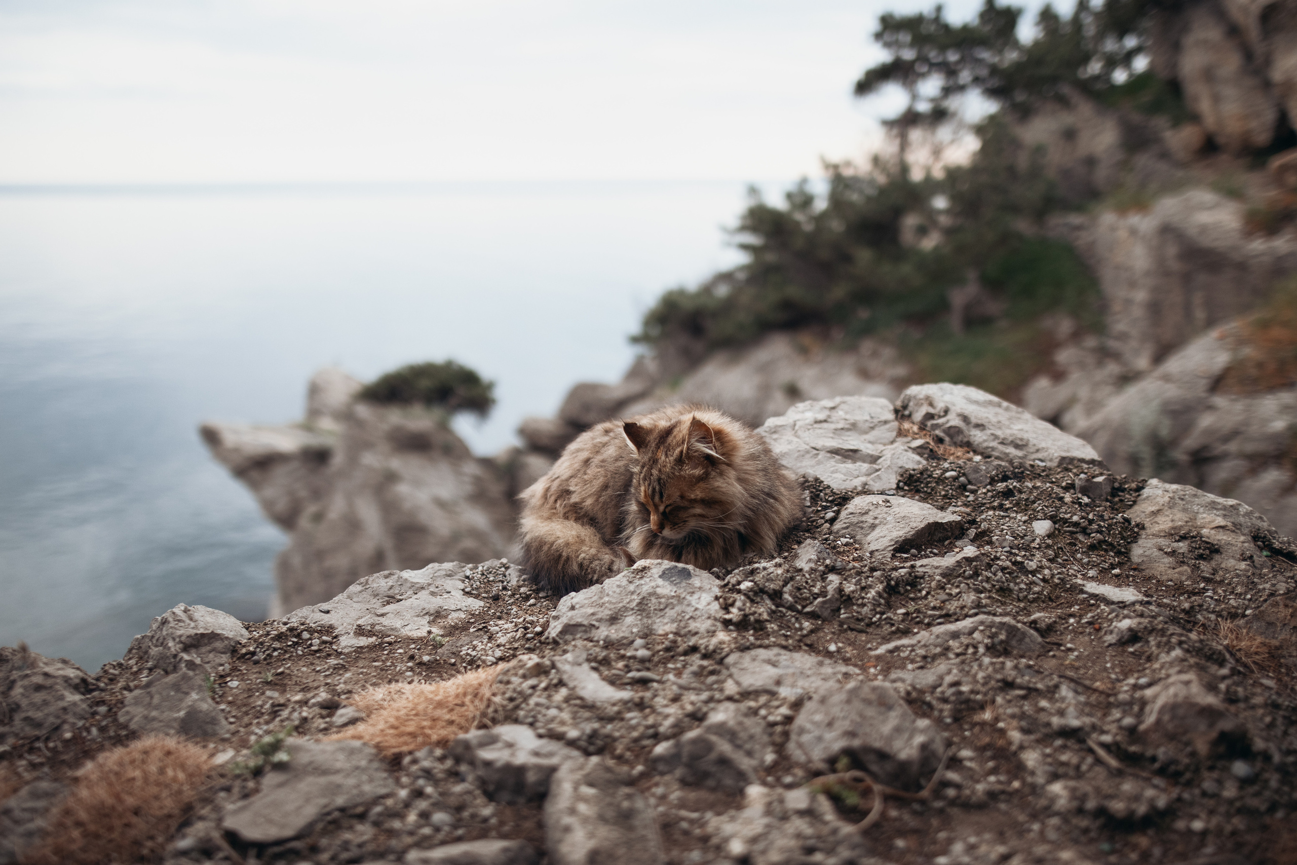 Street & Landscapes. Фотограф в Санкт-Петербурге Александр Терников