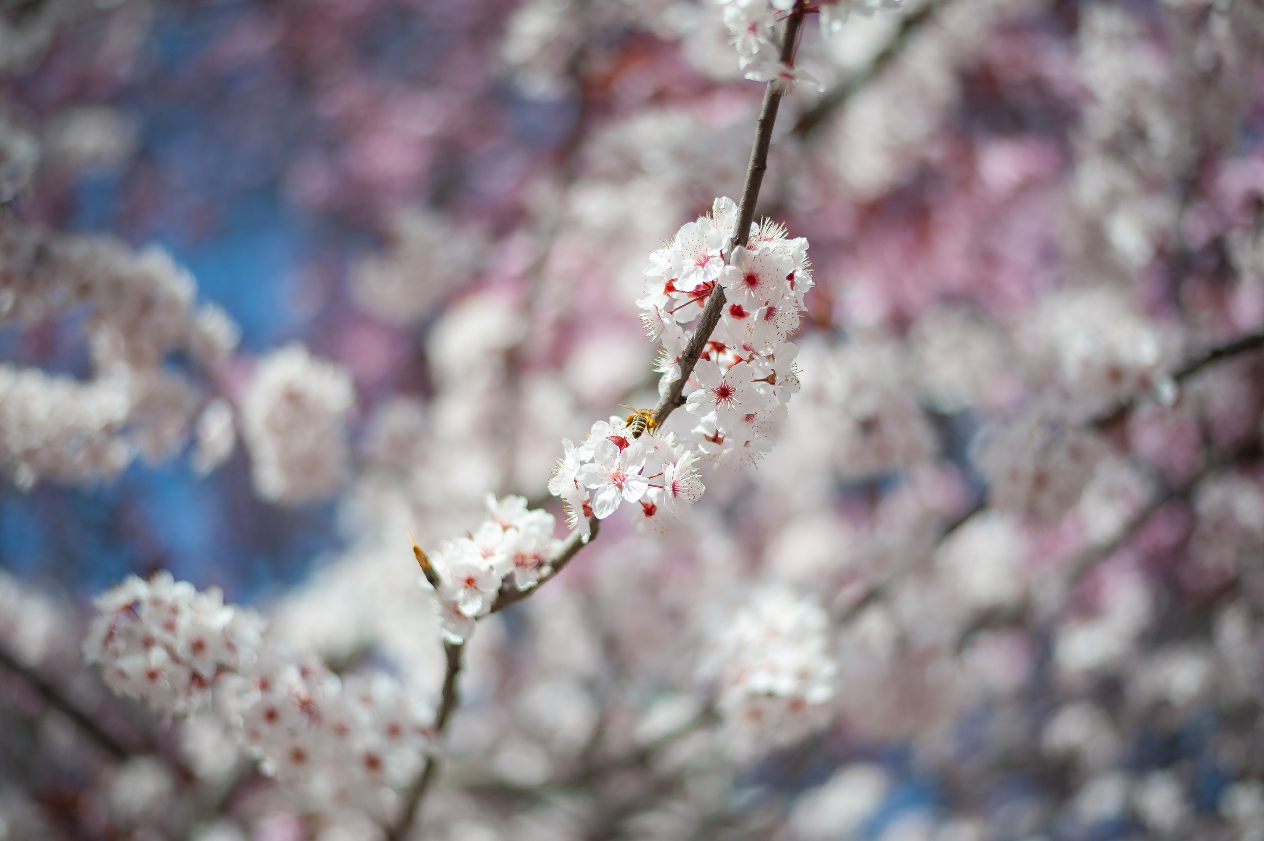 Street & Landscapes. Фотограф в Санкт-Петербурге Александр Терников