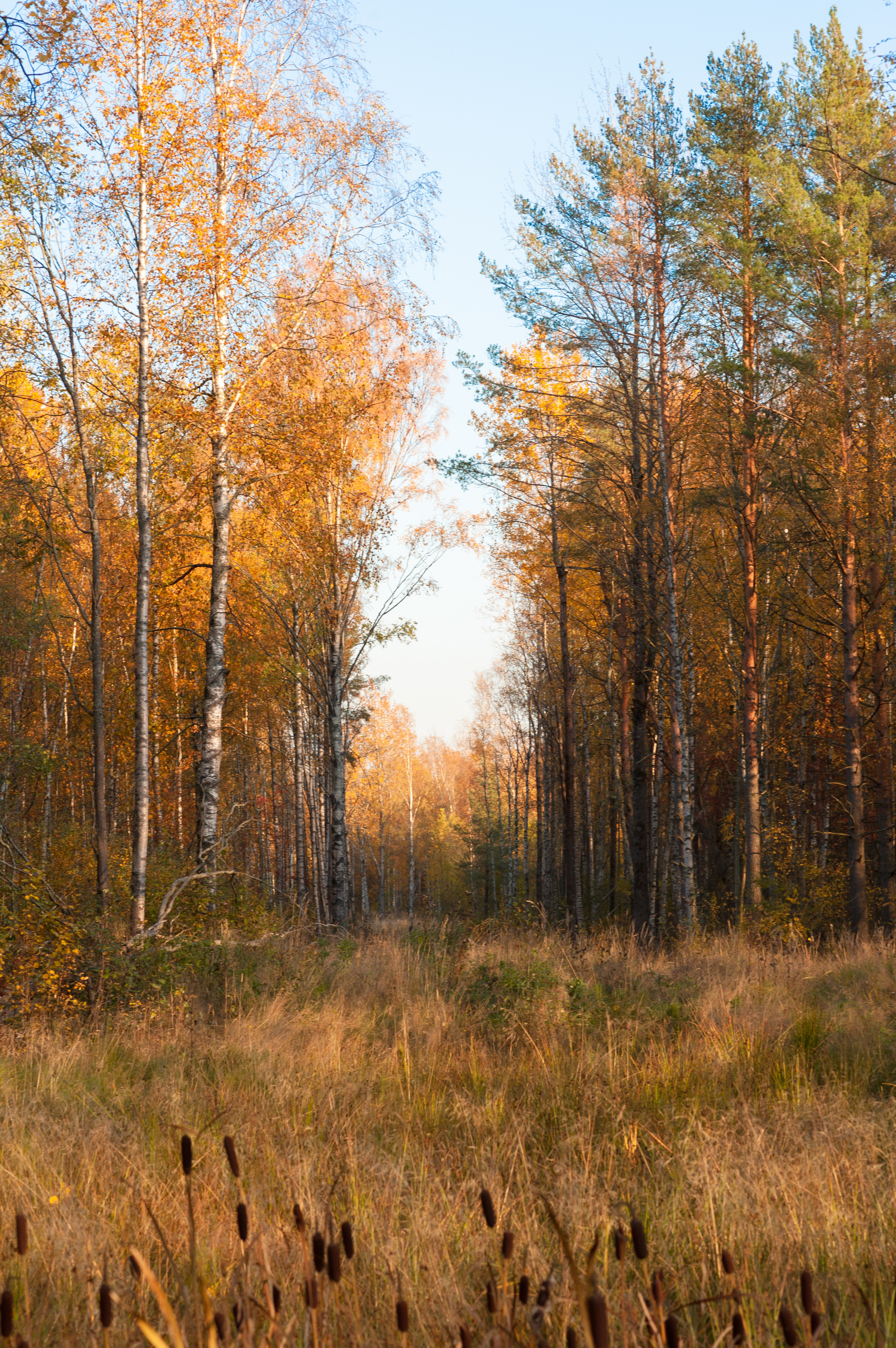 Street & Landscapes. Фотограф в Санкт-Петербурге Александр Терников
