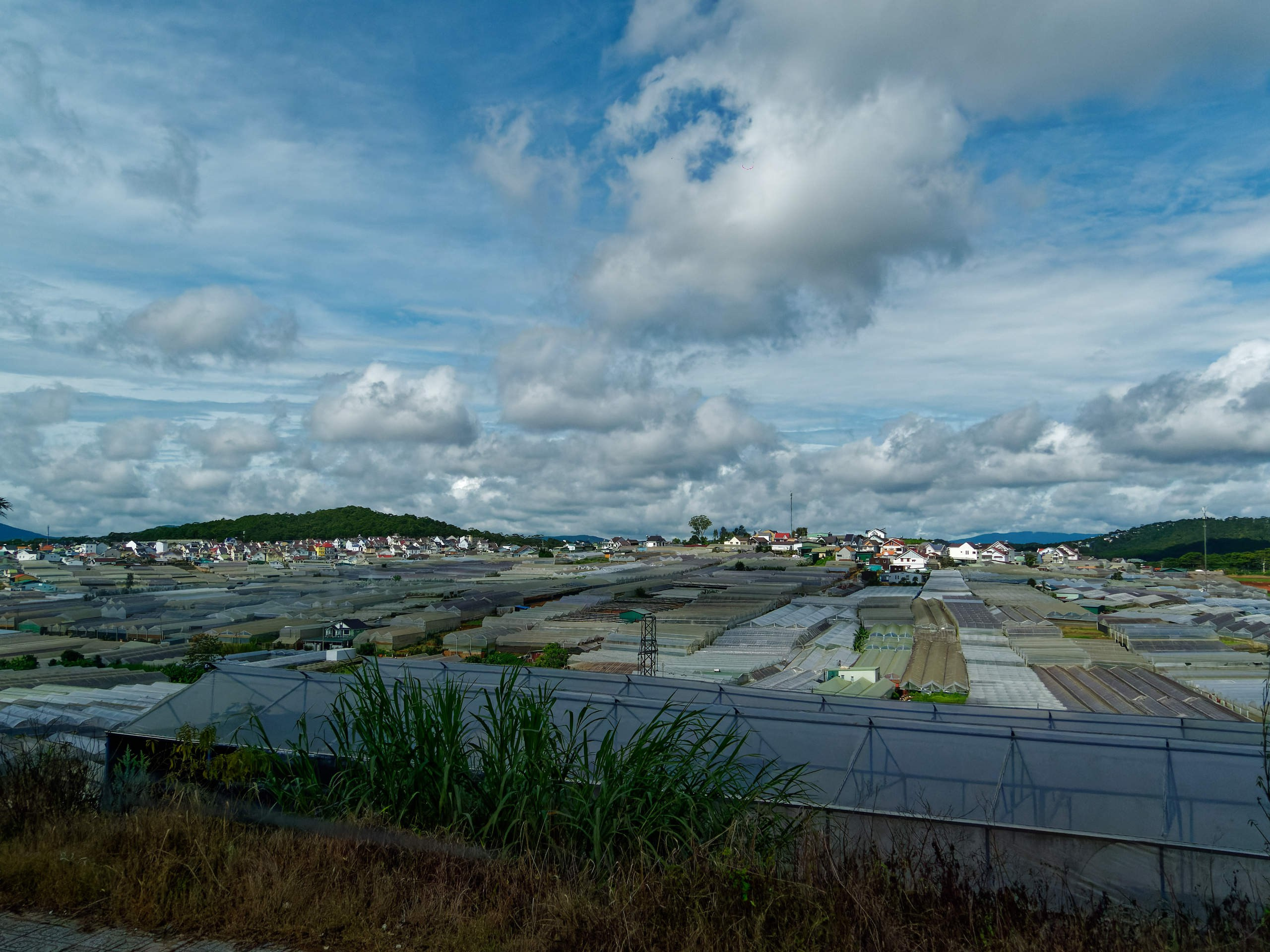 Далат 2023. Избранные фотографии