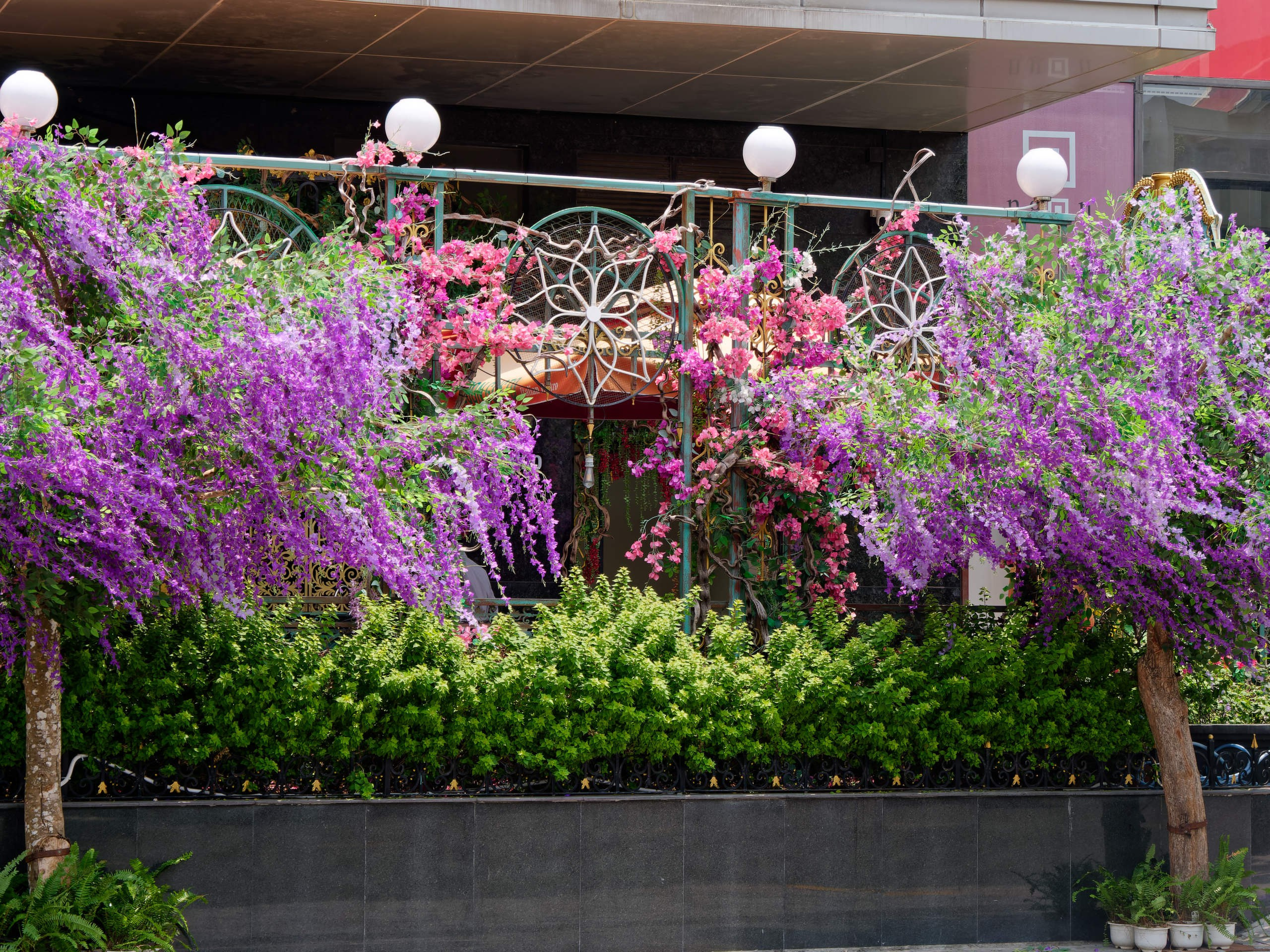 Нячанг 2025 (7). Избранные фотографии