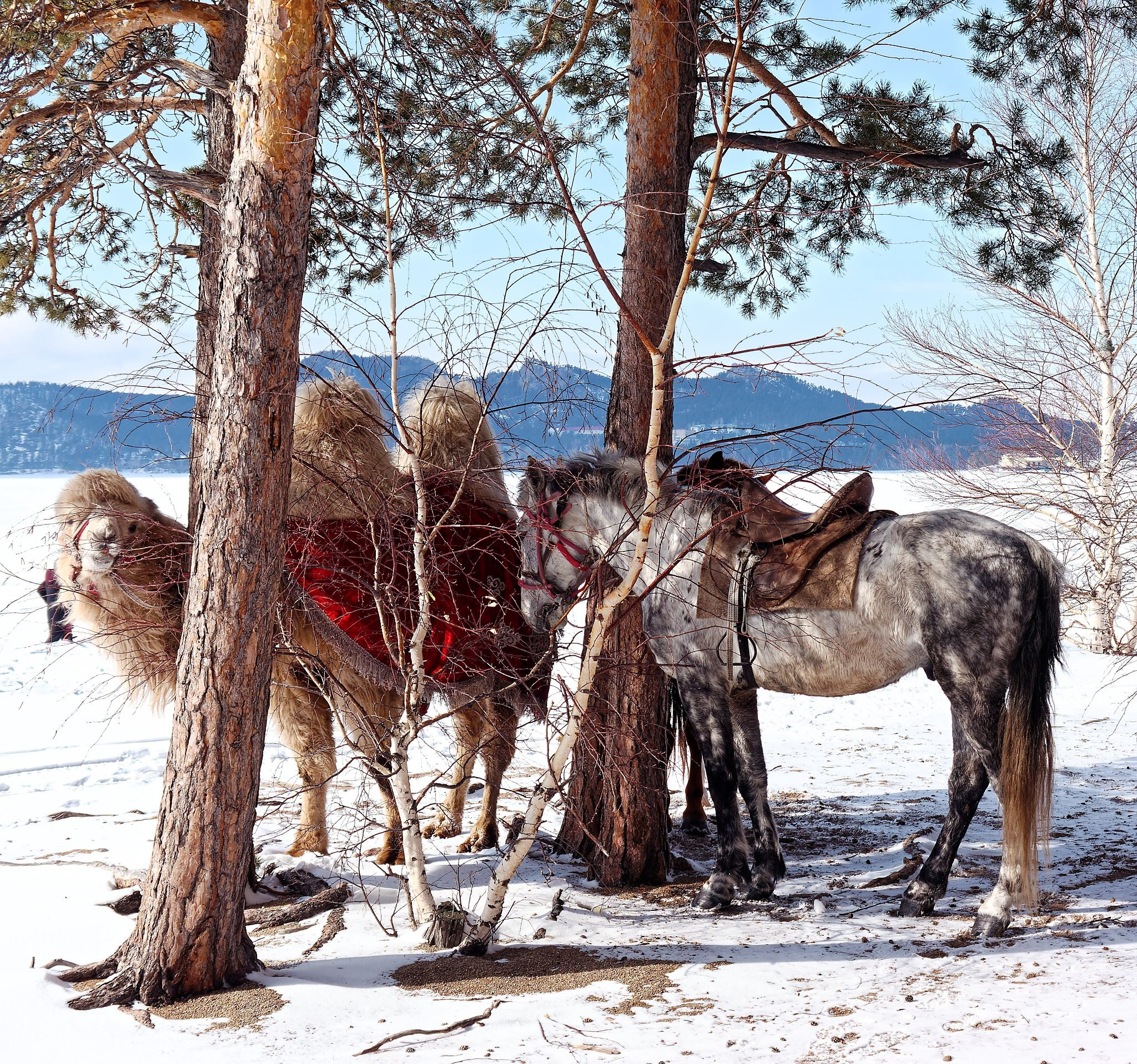 Боровое 2022 (из архива). Избранные фотографии