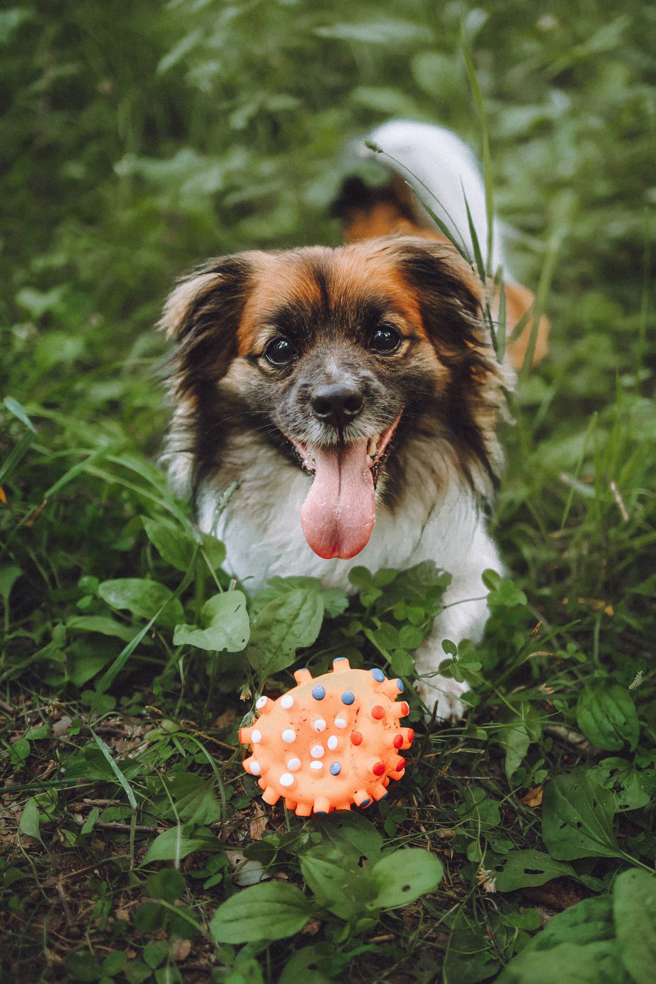Катя, Андрей, Гектор, Ричи, Тортик и Трой