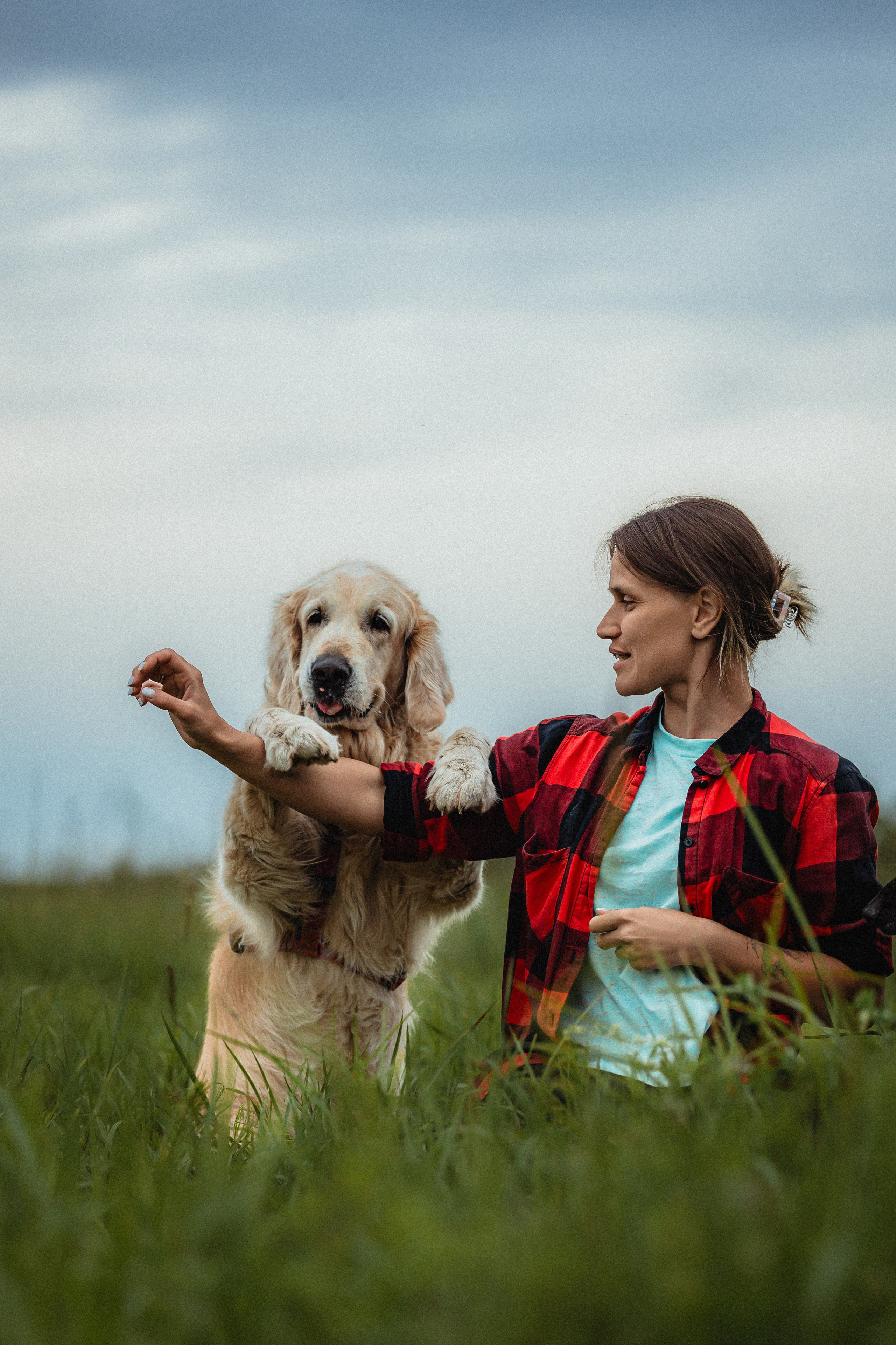 Выездной дог-тренинг от школы «Шерсть имею»