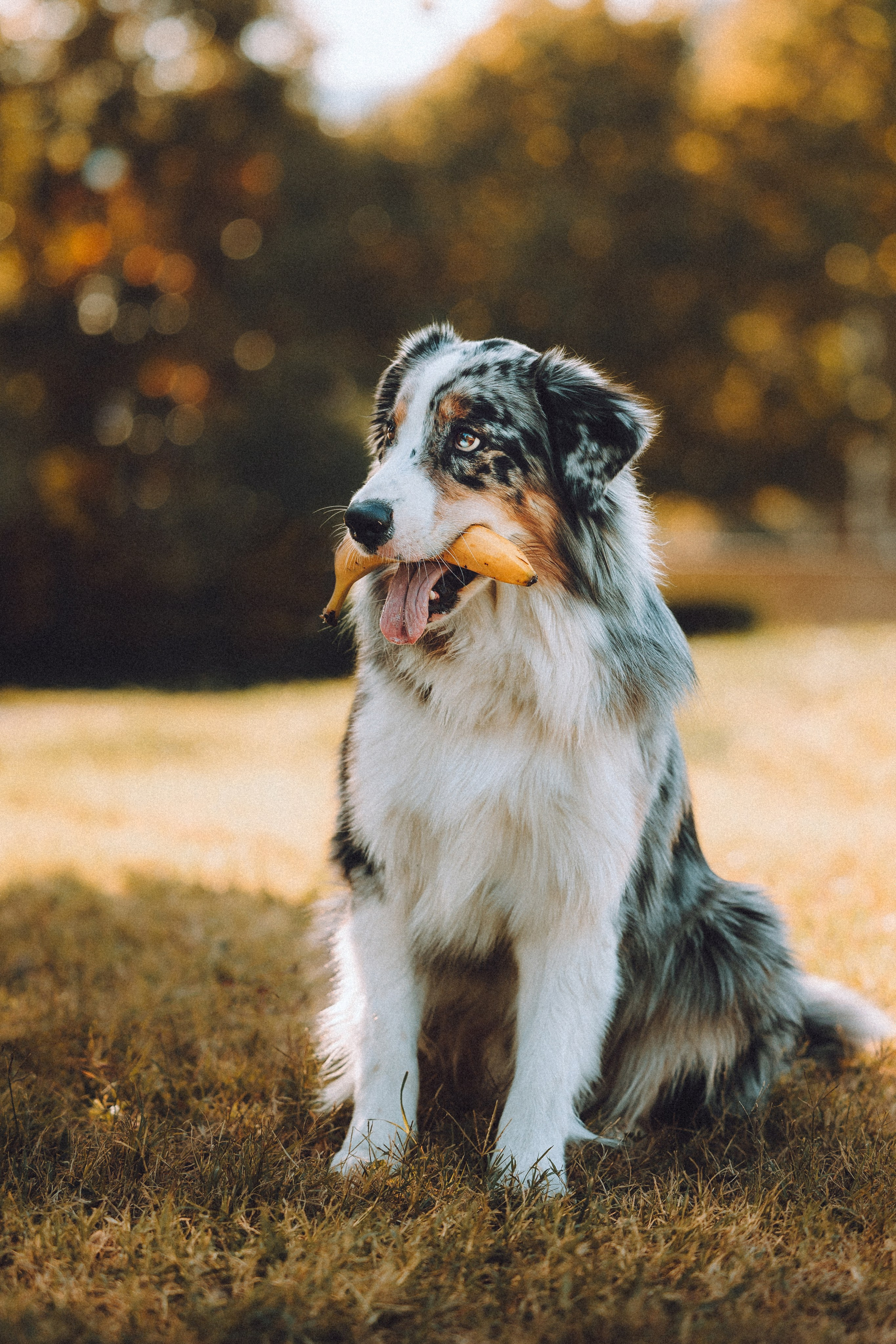 Саша, Рома и Один