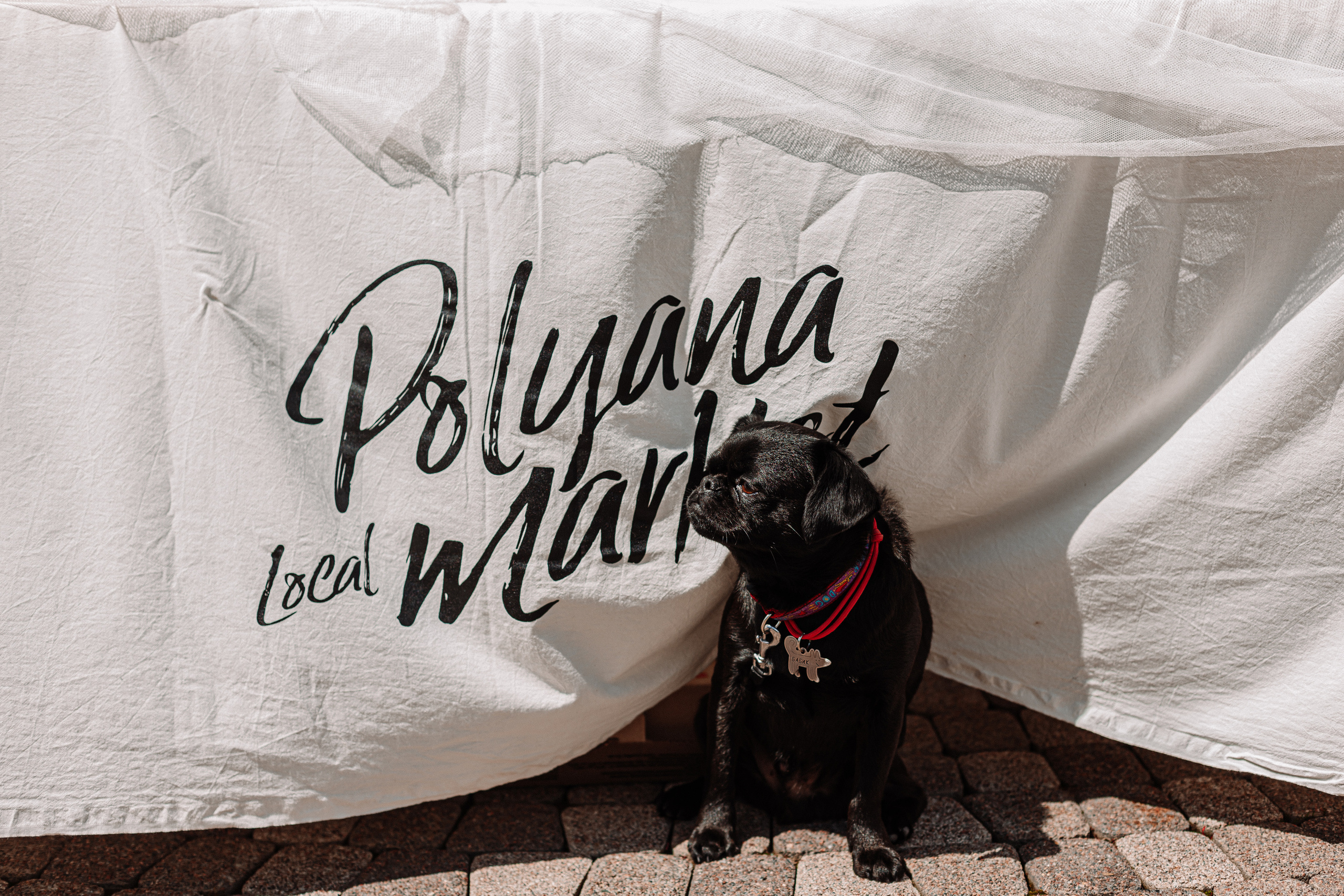 Фотограф Красная поляна