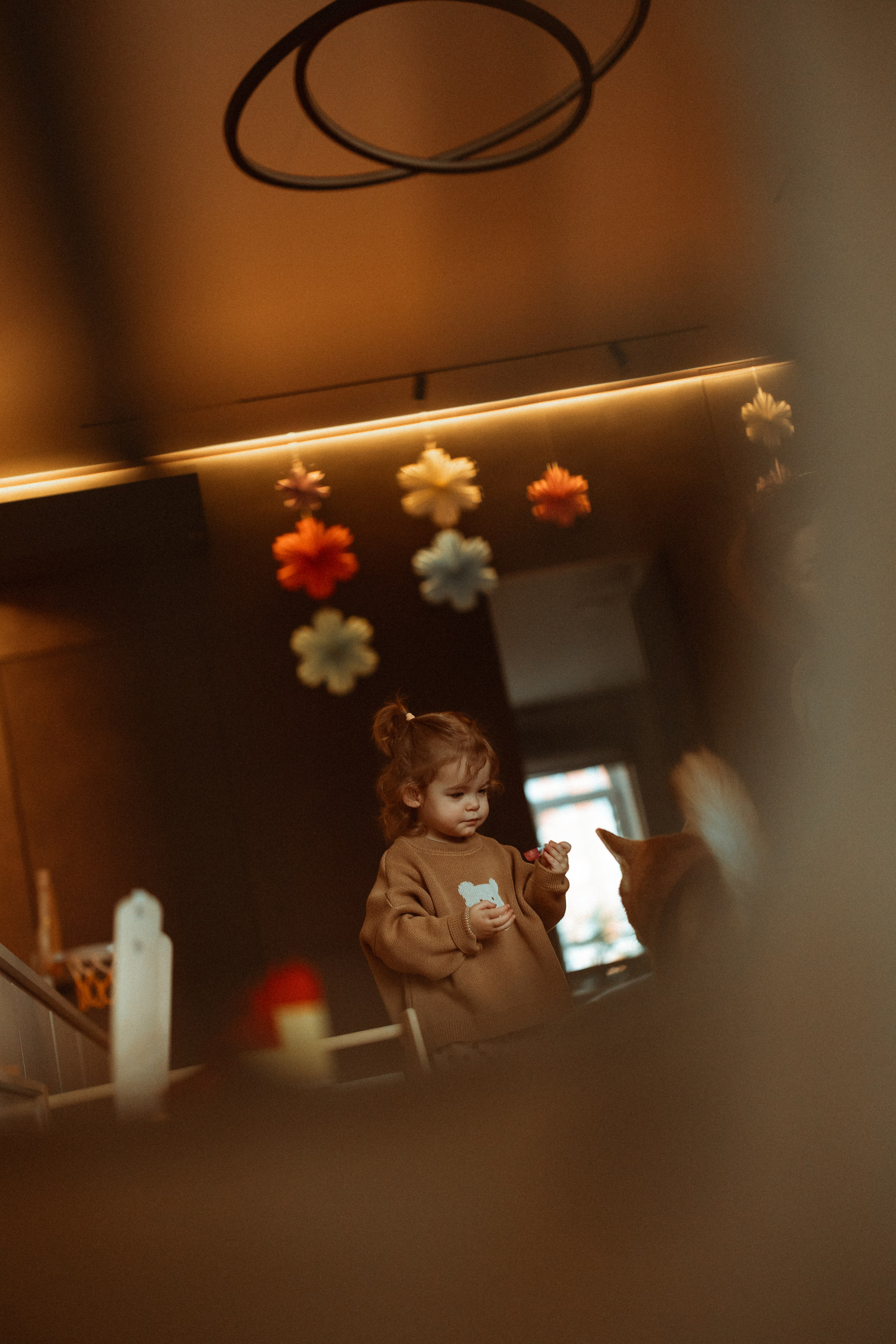 Новогодний переполох. Евгения Пелипас