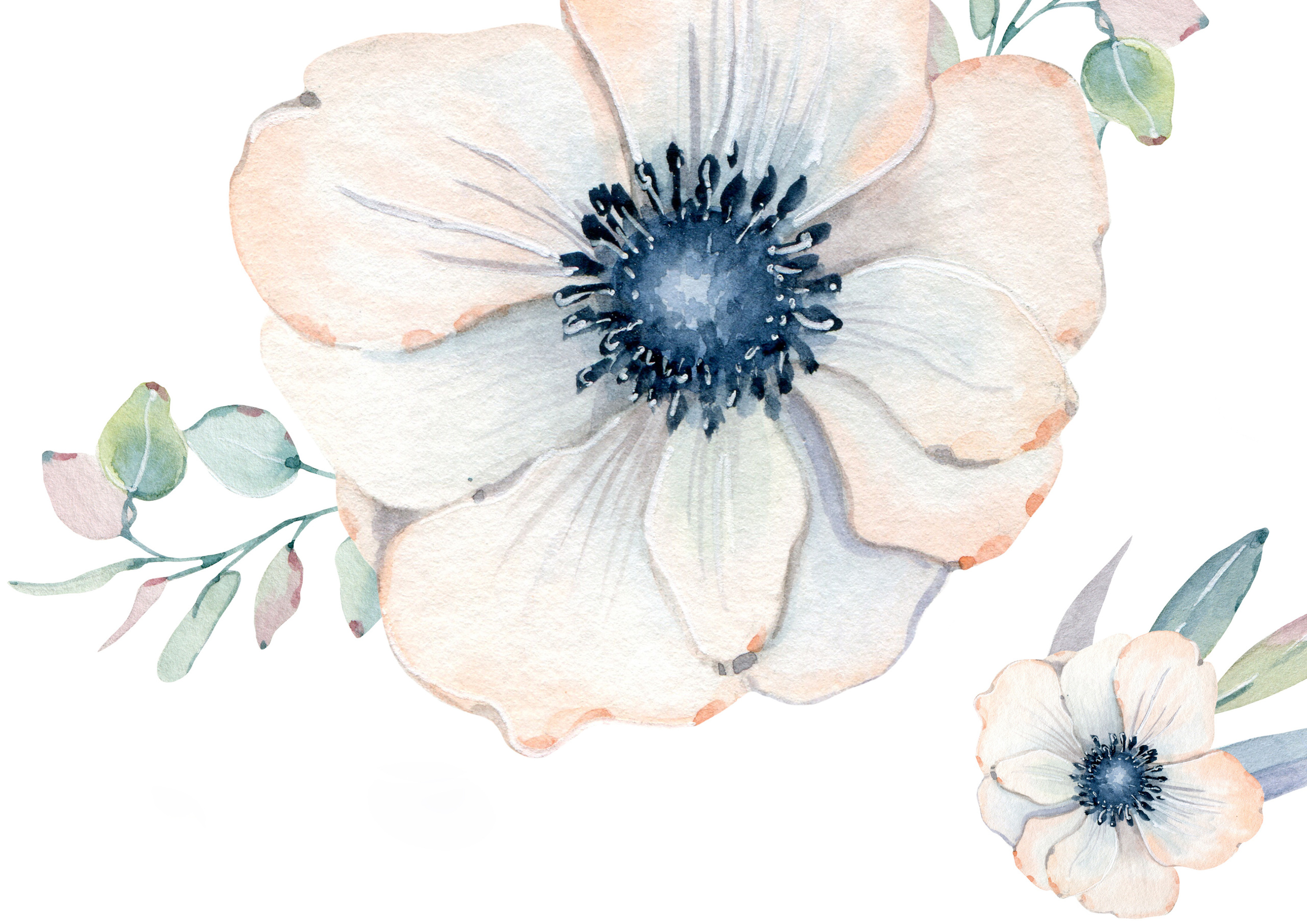 Подарочный сертификат. Лана Абрамян-Фотограф новорожденных и беременных в Новороссийске Анапе