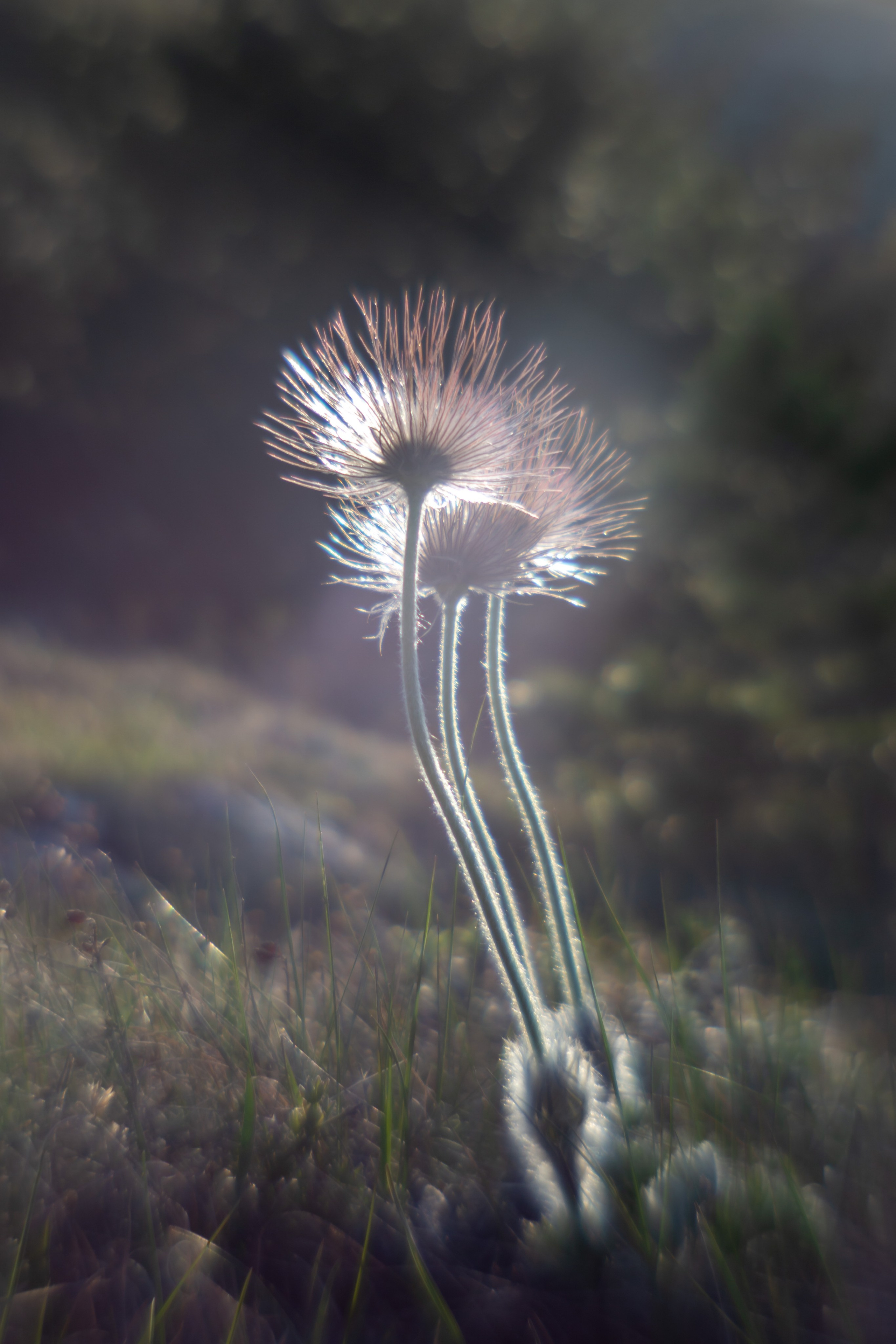 Крымские зарисовки. Фотограф в Москве Лера Юдина