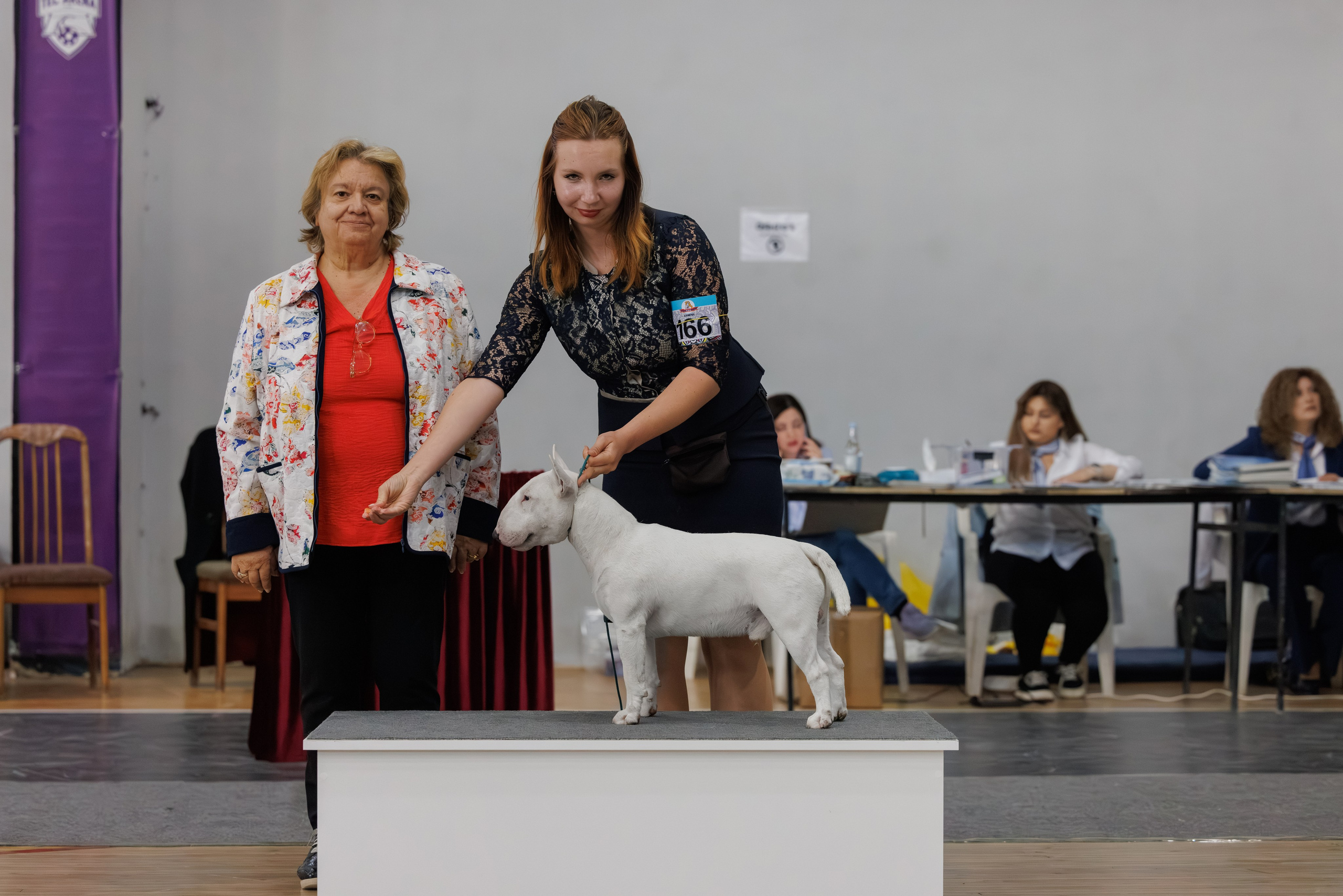 Ереван 2х CACIB 29-30.04.2025. Фотограф-анималист Юлия Германика