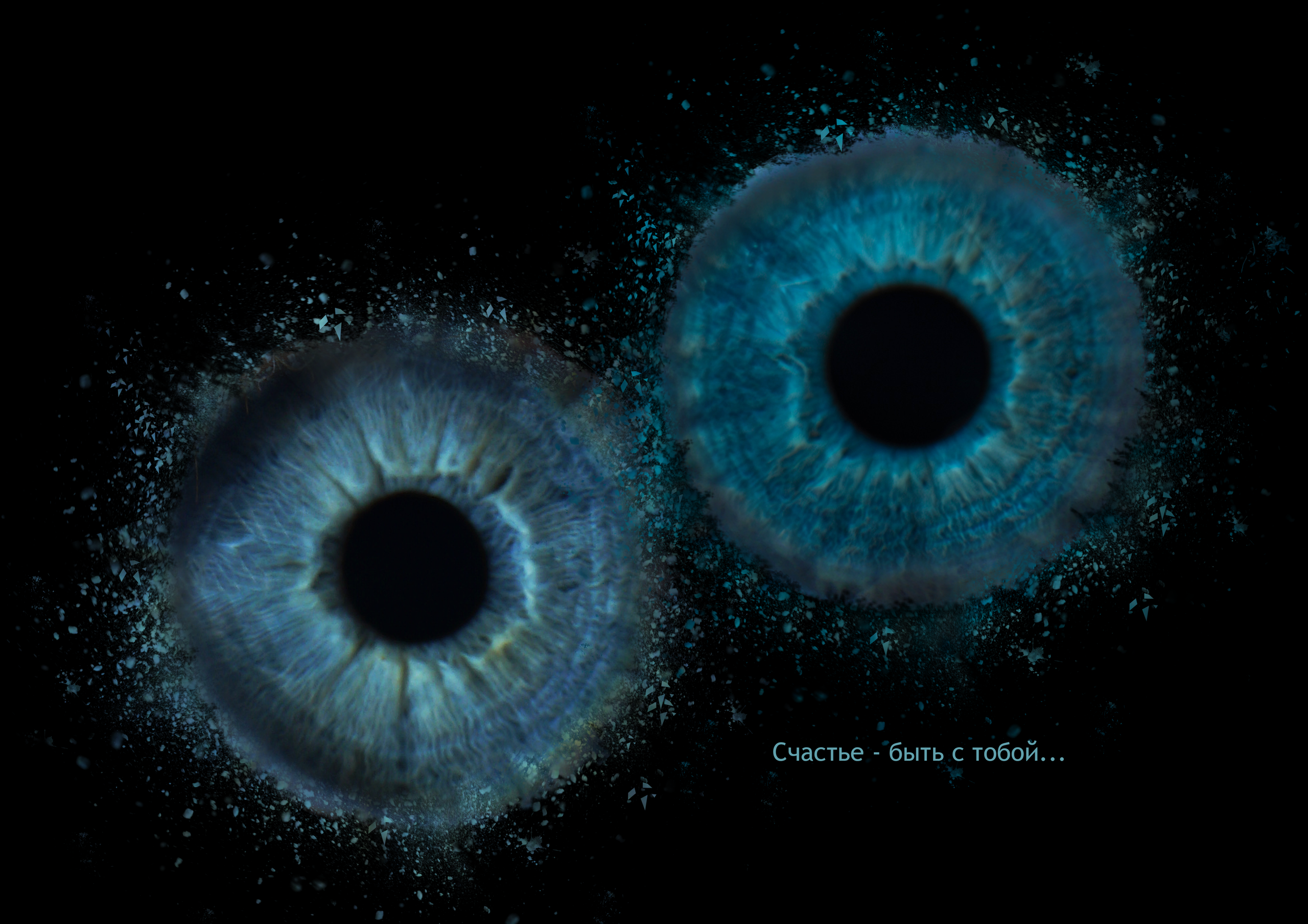 Екатерина 11021830. ShowLab