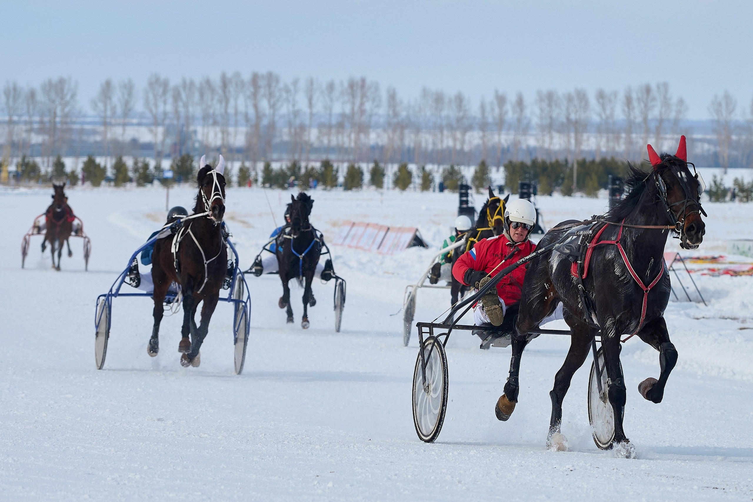 Общее портфолио. Фотограф Опыт Качество Скорость Горный Алтай Барнаул