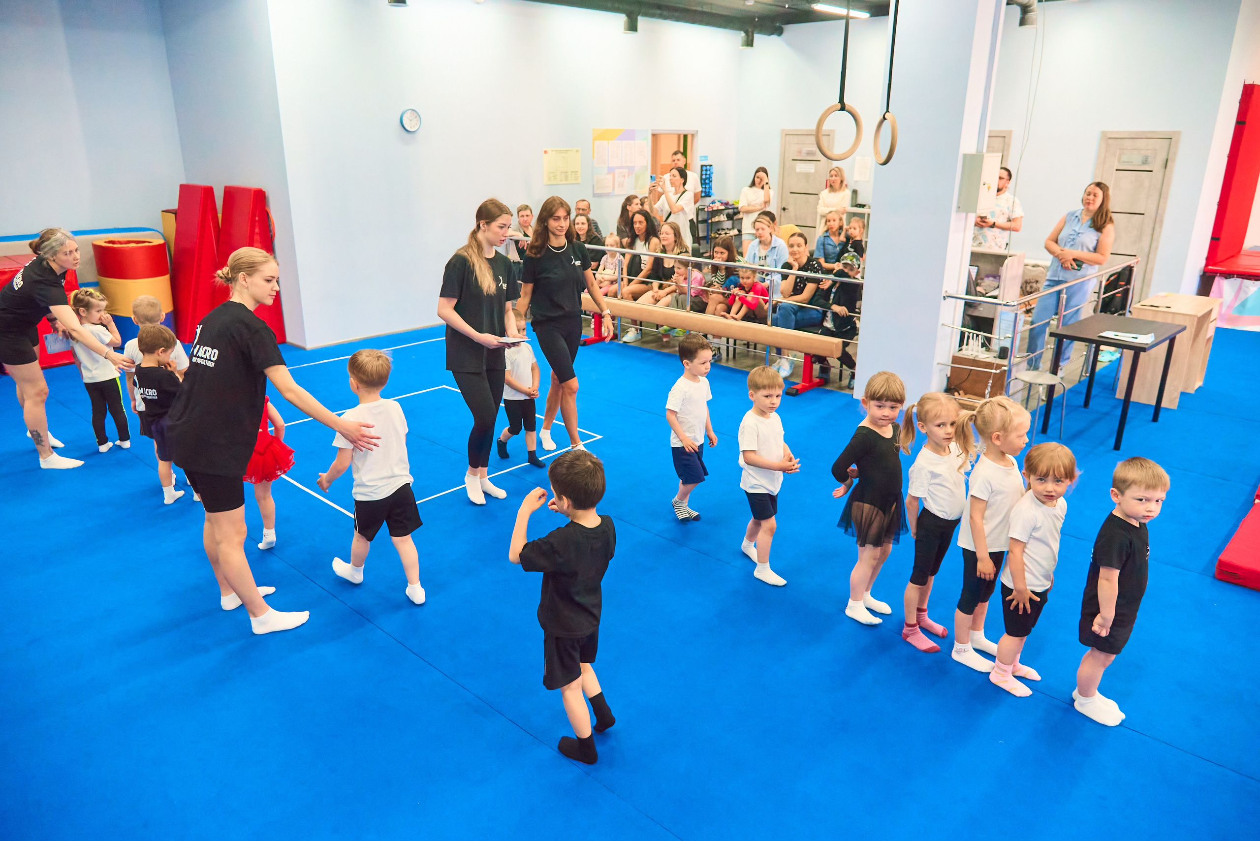 Студия акробатики InAcro, 26.05.24. Наталия Март | Фотограф СПб