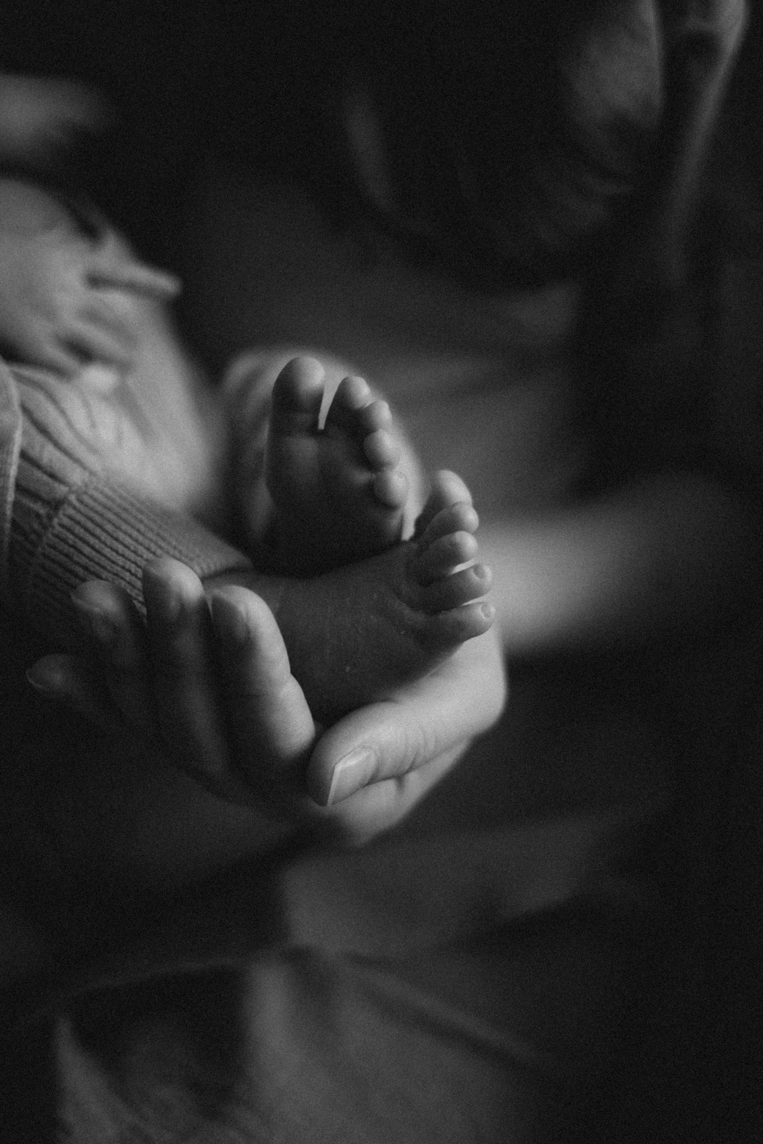 Lifestyle. Фотограф новорожденных в Санкт-Петербурге Белова Екатерина