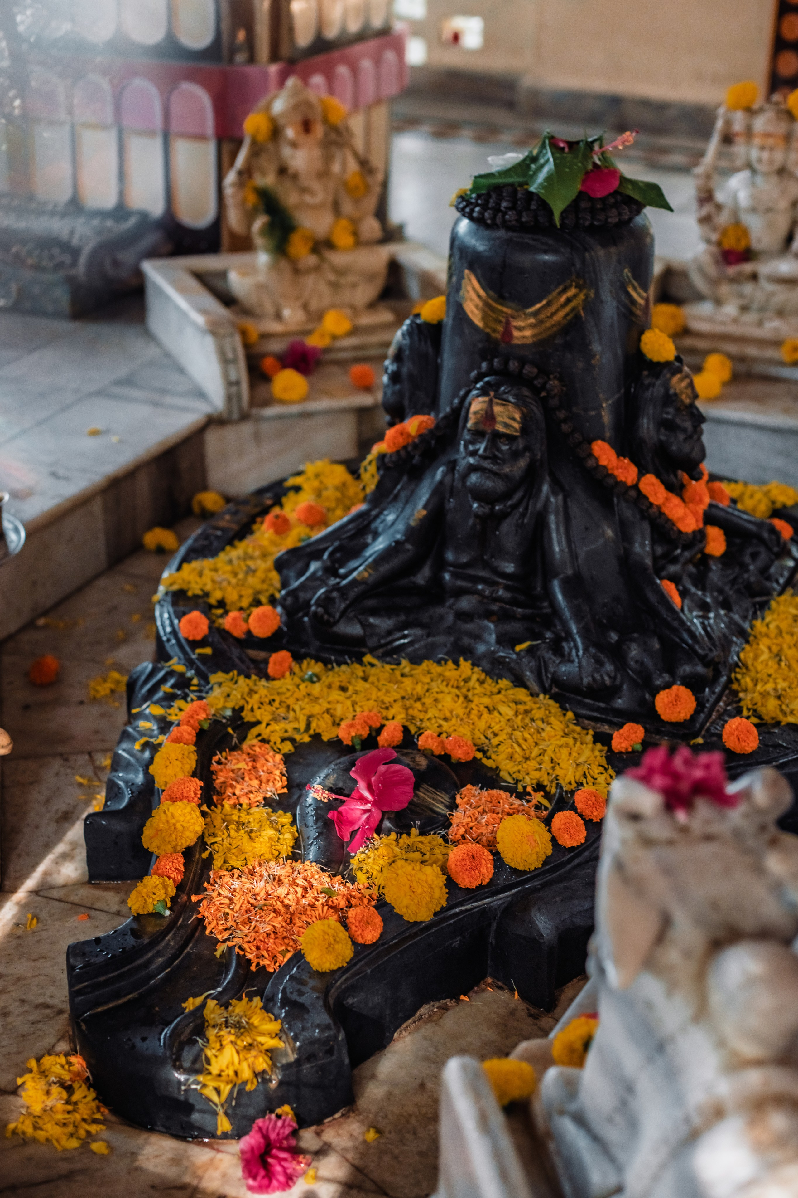 Devraha baba ji ashram life 2025. Mariam Bagdasaryan